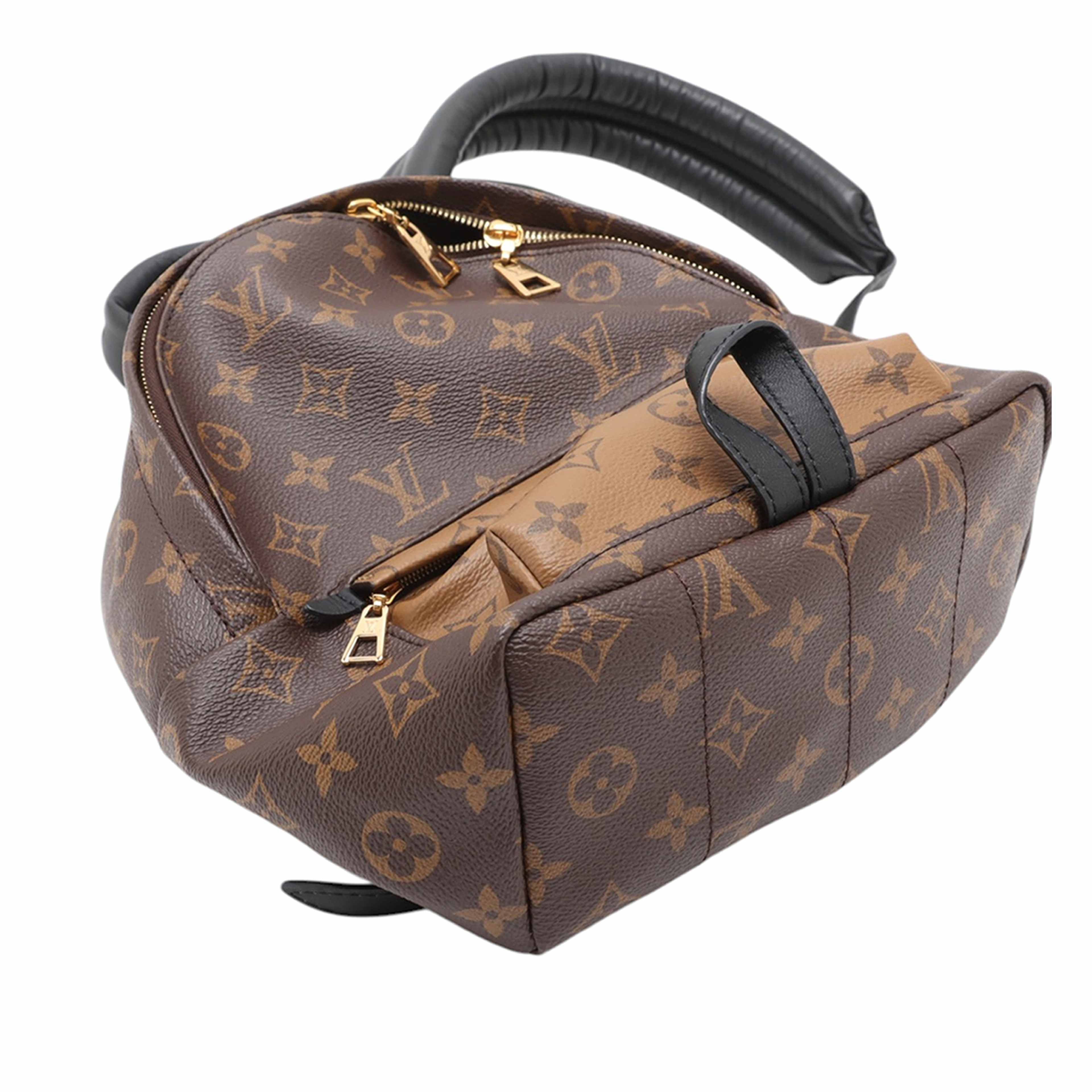 Louis Vuitton Monogram Reverse Palm Springs Pm, från Luxclusif, i färgen brun. Klicka för att öppna bilden i stort format
