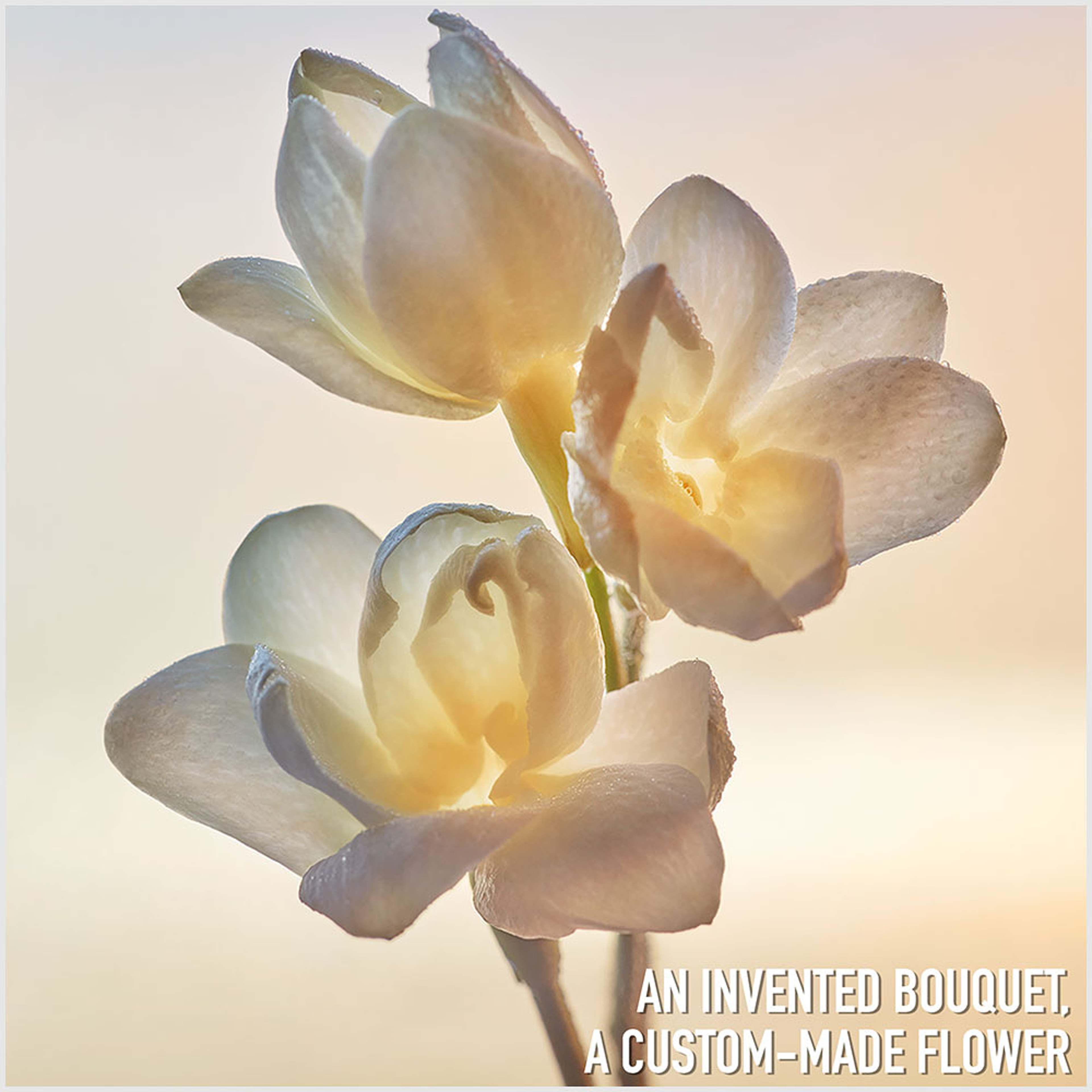 J'adore EdP, från DIOR. Klicka för att öppna bilden i stort format