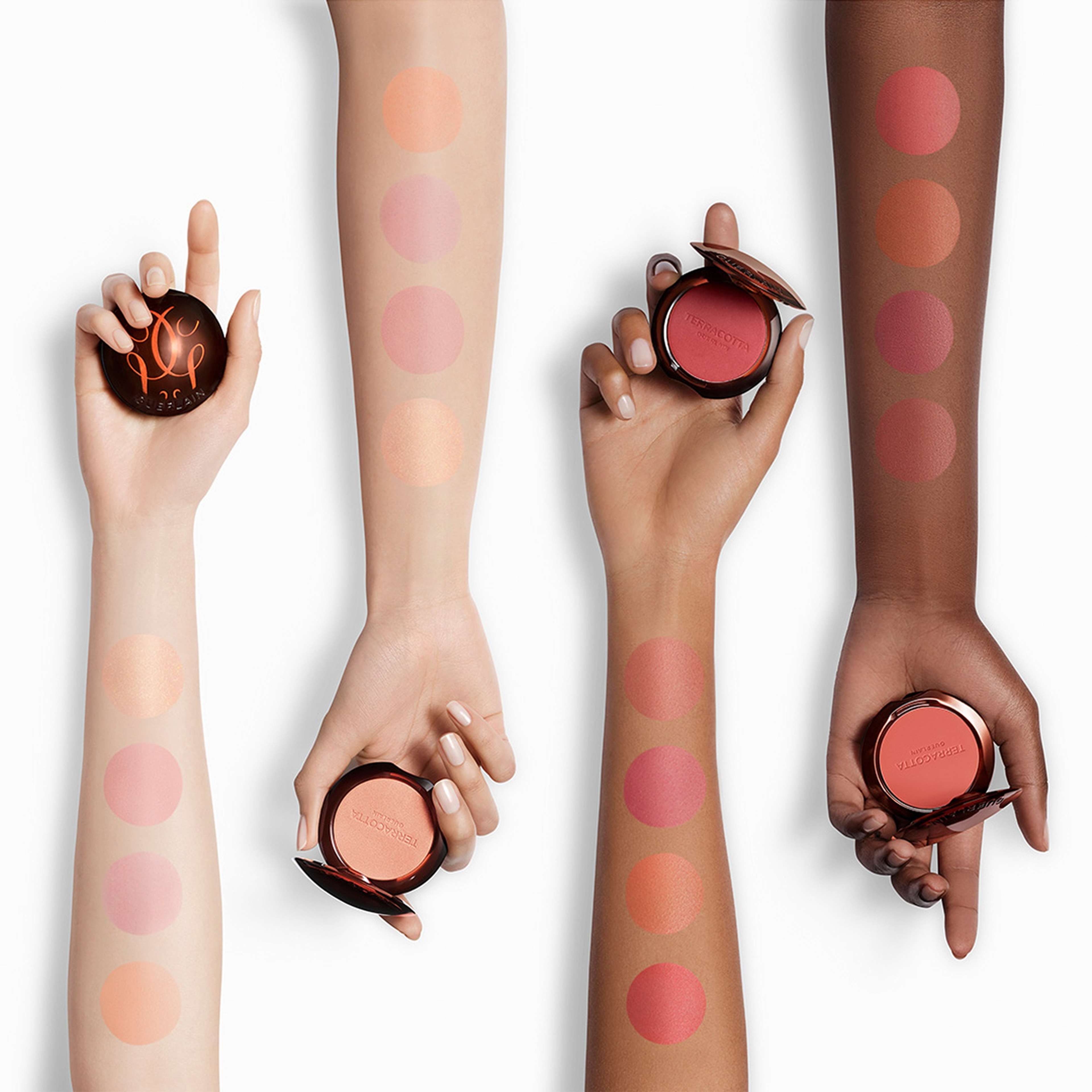 Terra Healthy Glow Powder Blush