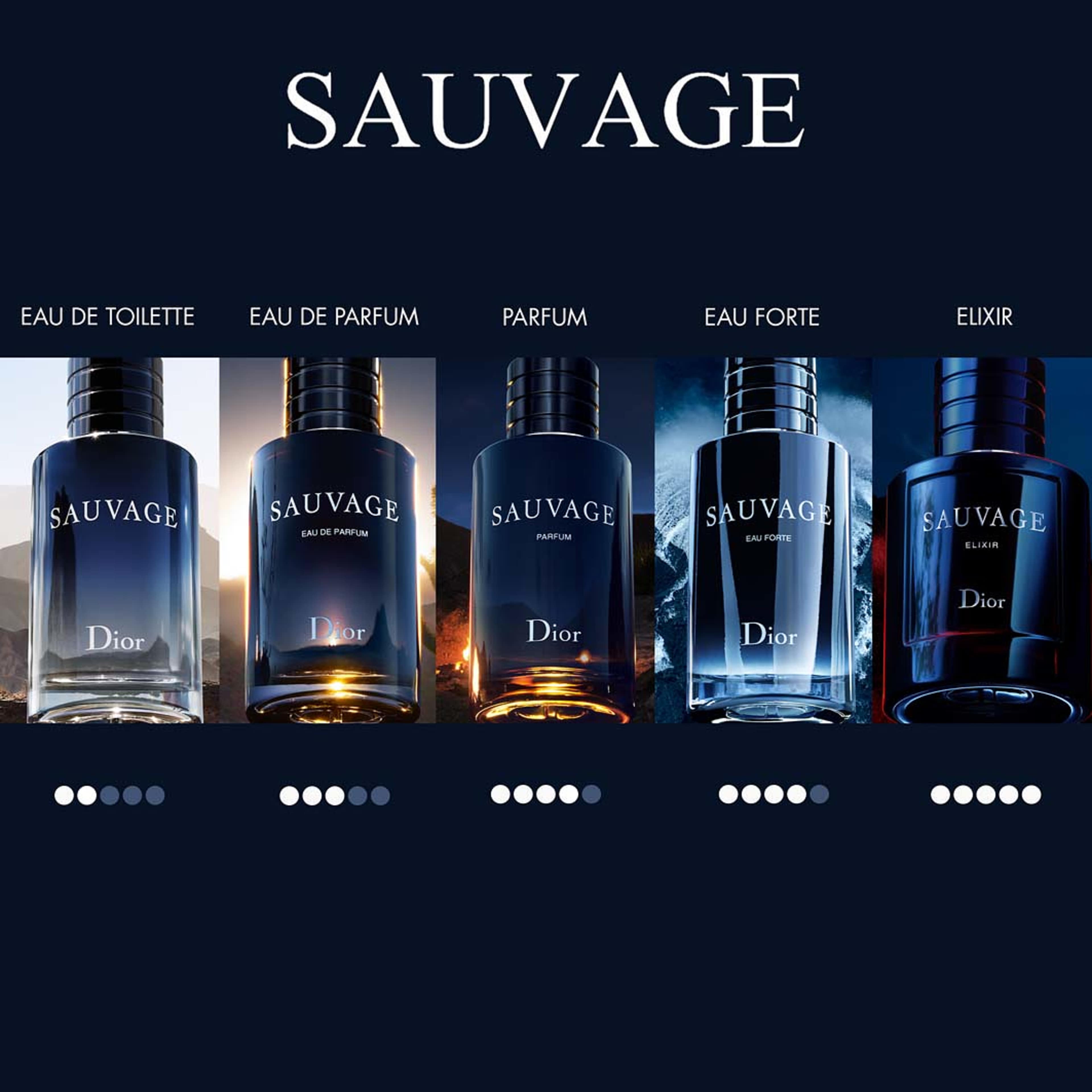 Sauvage EdP Travel Spray - Limited Edition 30 ml Bottle and Case, från DIOR. Klicka för att öppna bilden i stort format