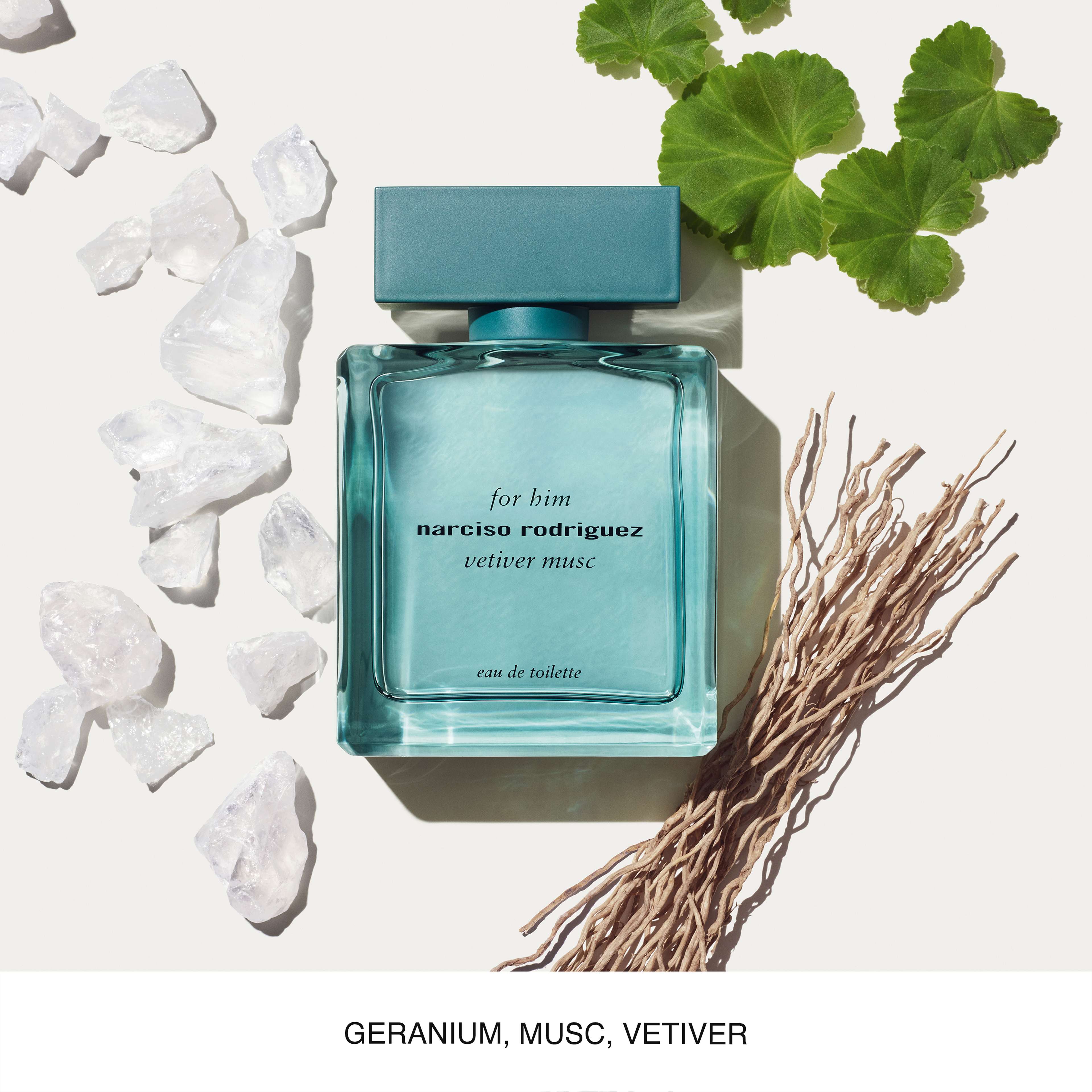 Vetiver Musc For Him EdT