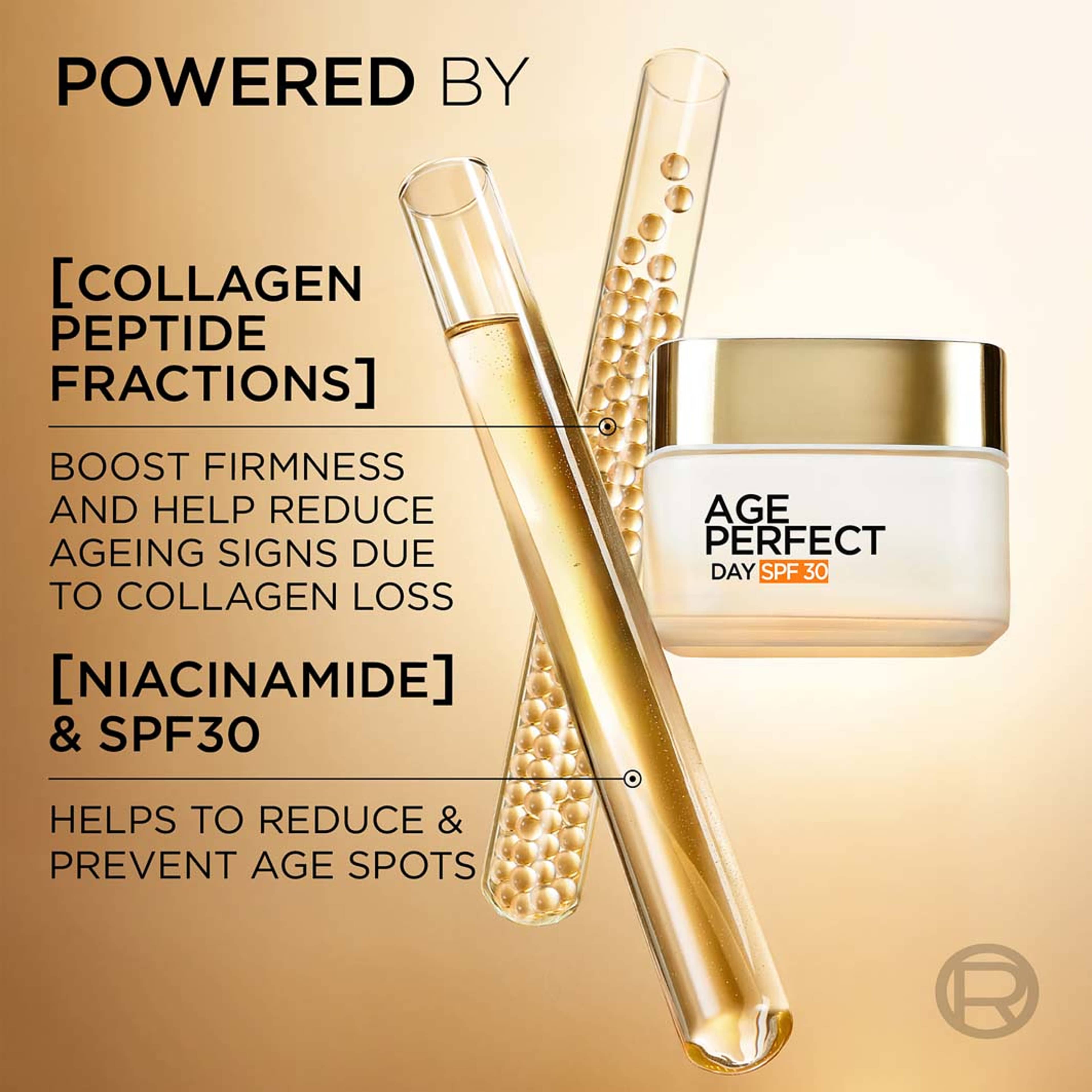 Age Perfect Collagen Expert, från L'Oréal Paris. Klicka för att öppna bilden i stort format