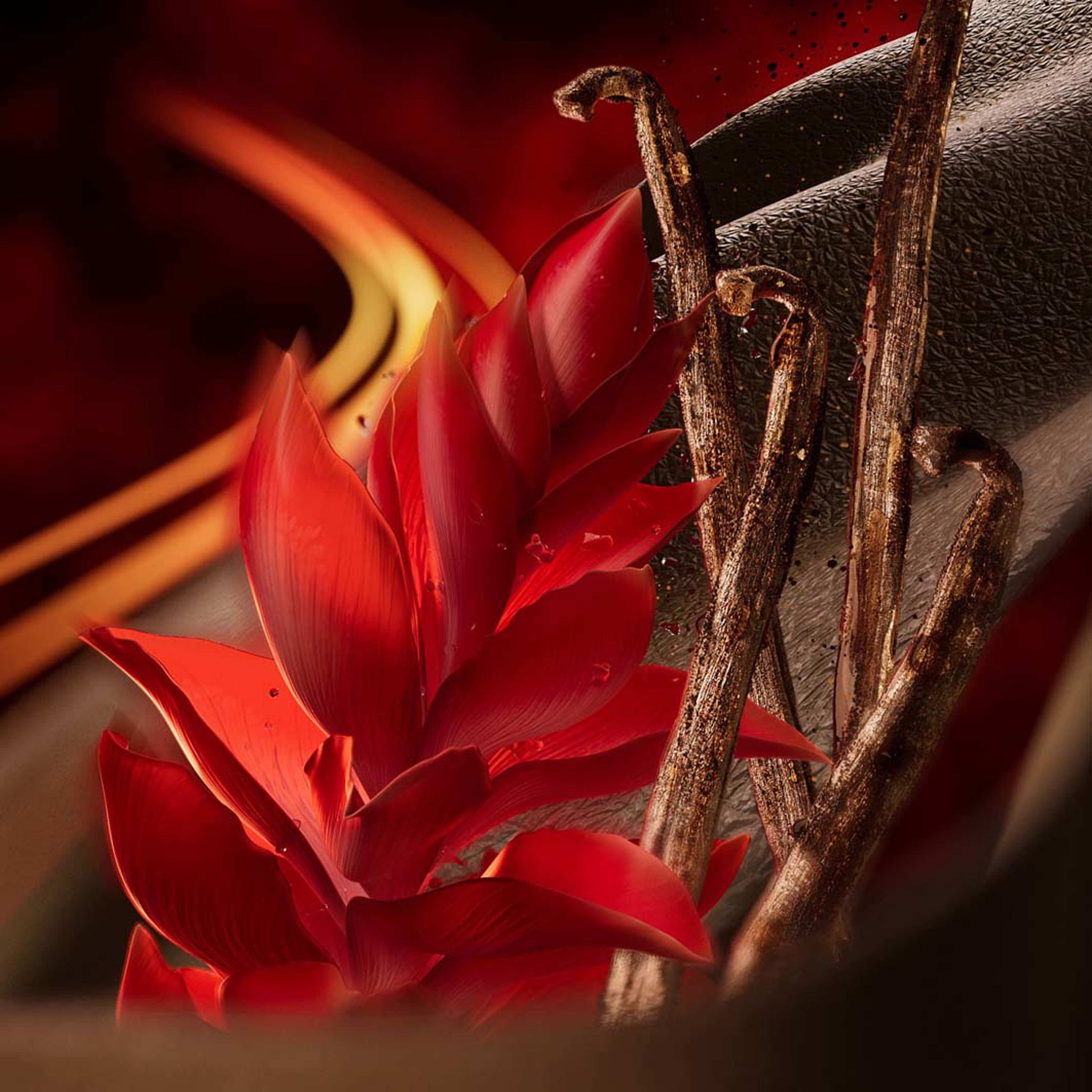 POLO RED Extreme eau de parfum, från Ralph Lauren. Klicka för att öppna bilden i stort format