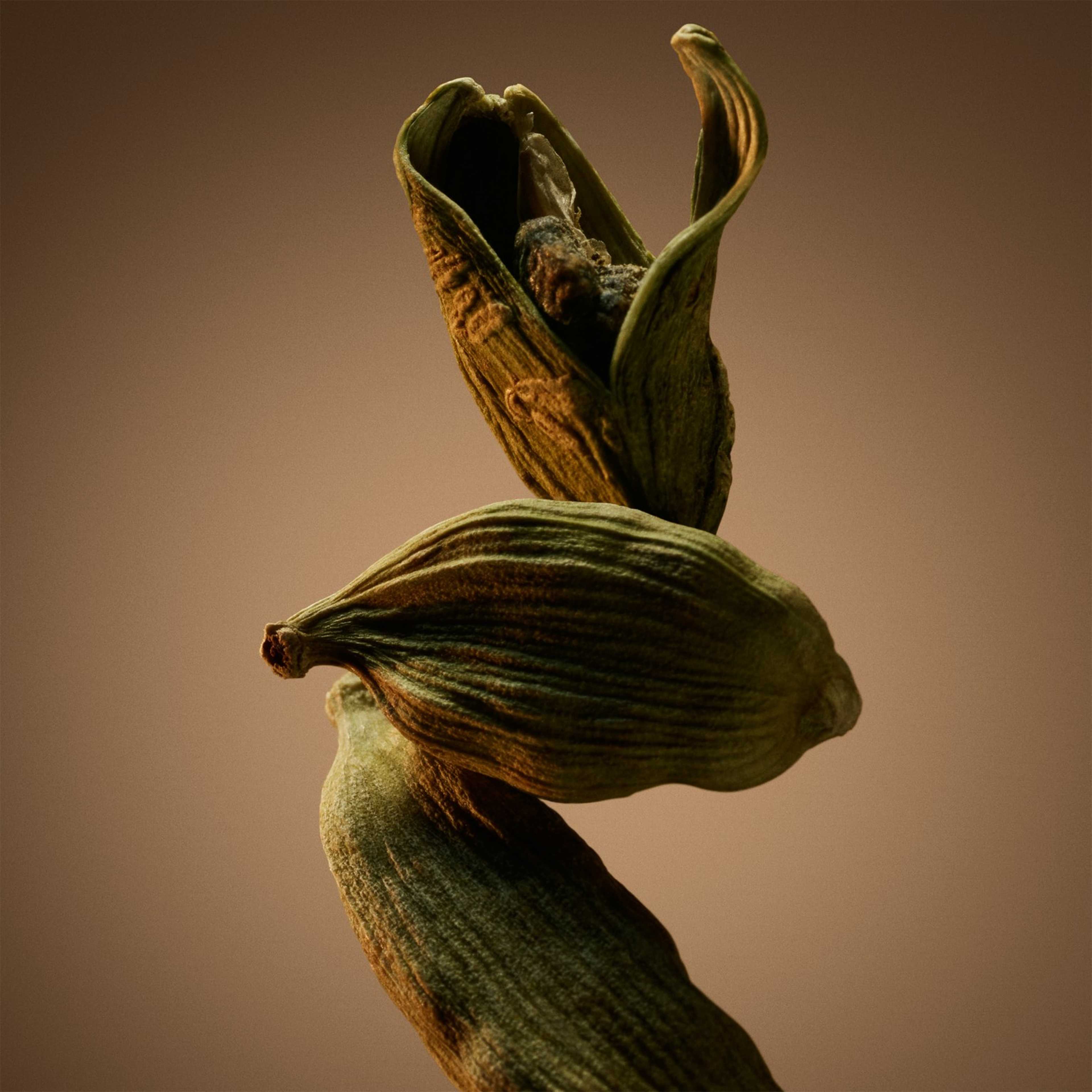 Boss Bottled EdP, från HUGO BOSS. Klicka för att öppna bilden i stort format