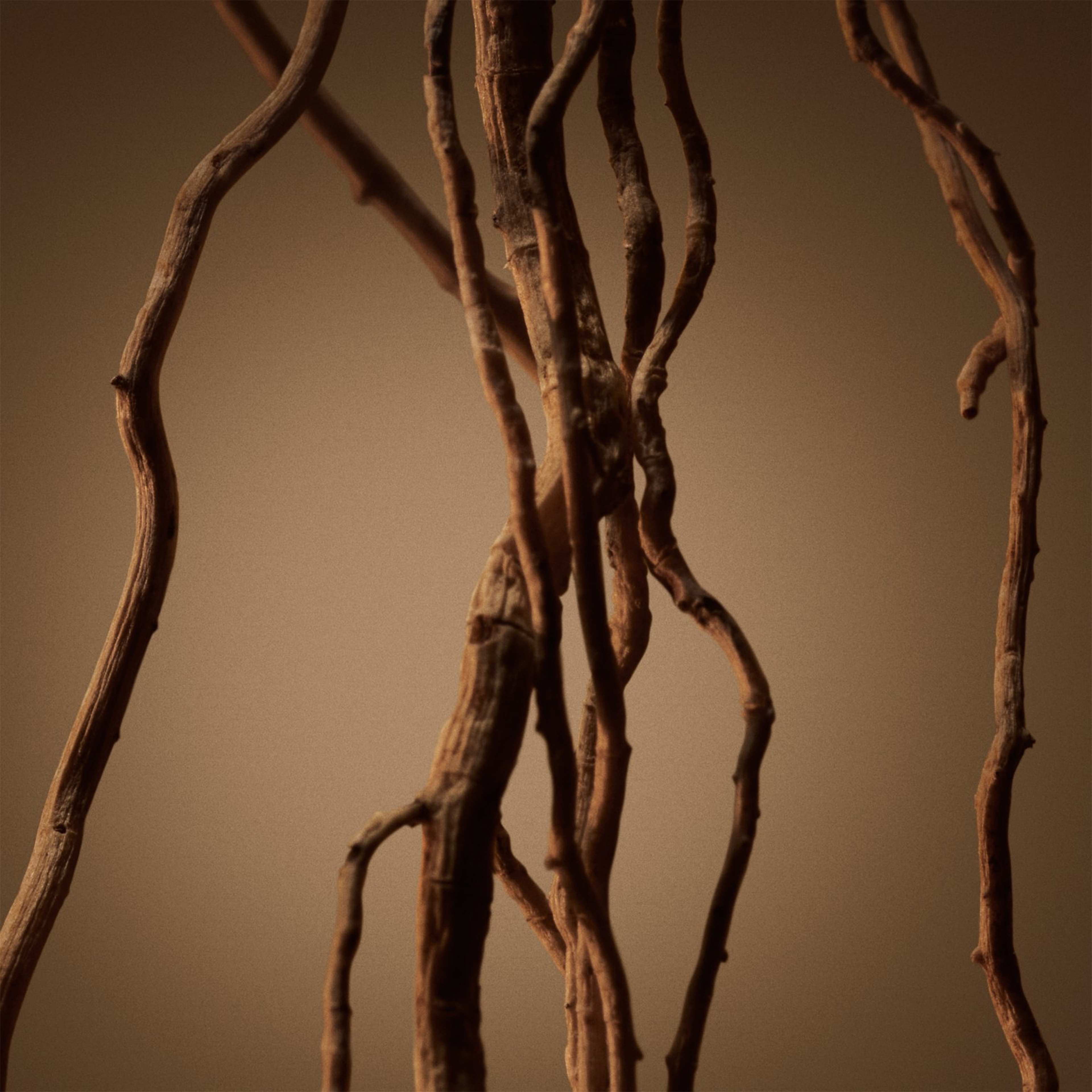 Boss Bottled EdP, från HUGO BOSS, i färgen 200 Ml. Klicka för att öppna bilden i stort format