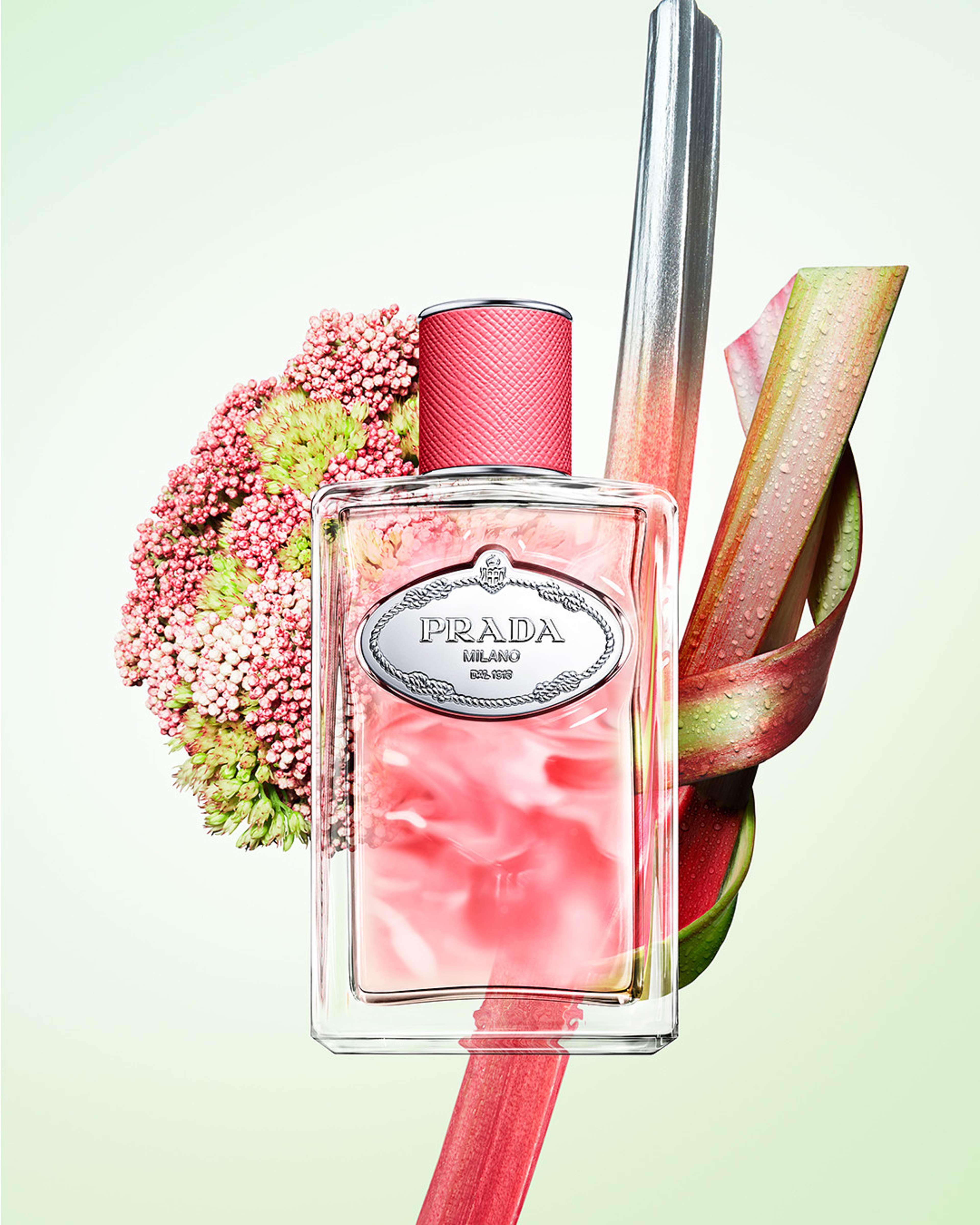 Infusion Rhubarbe Edp