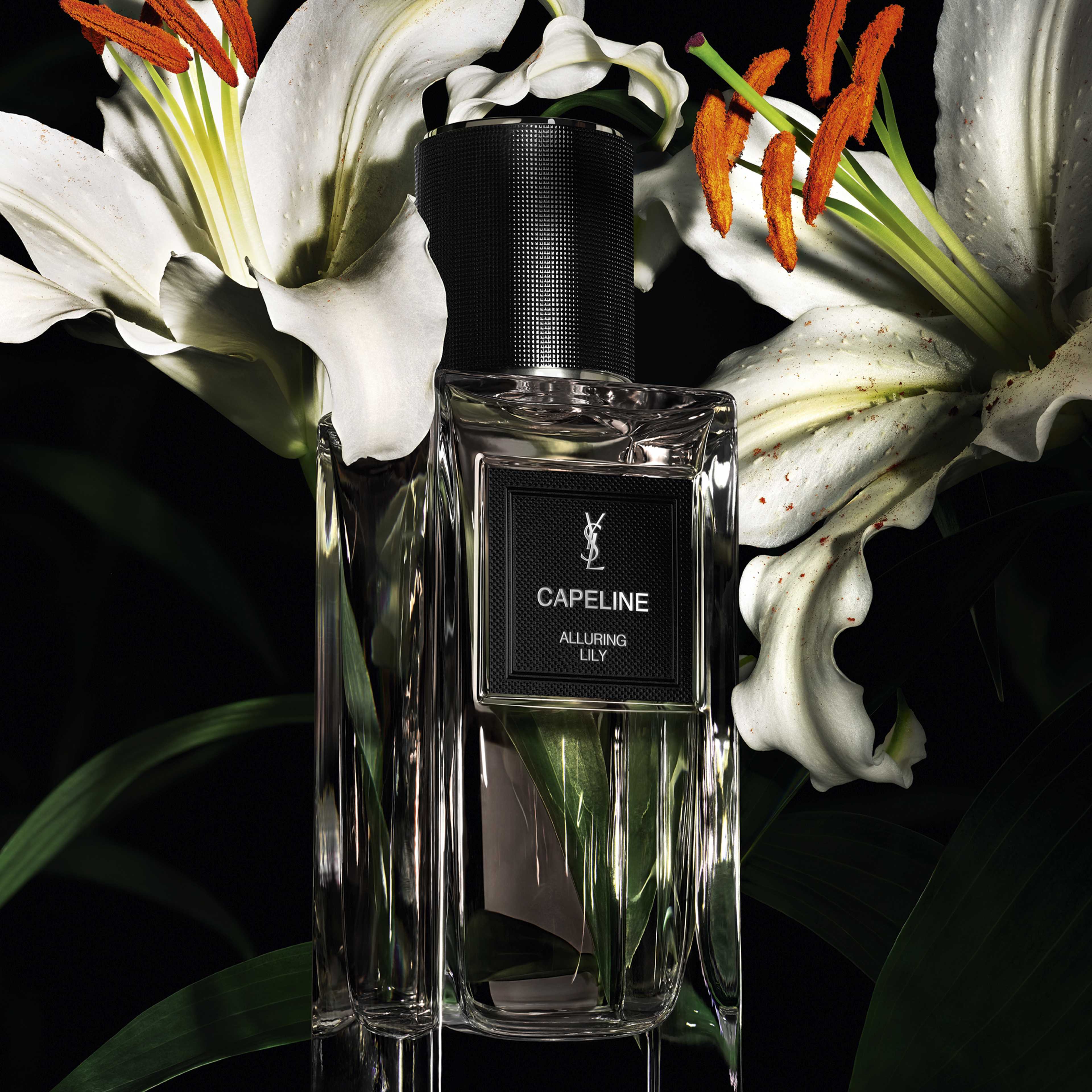 Le Vestiaire des Parfums Capeline