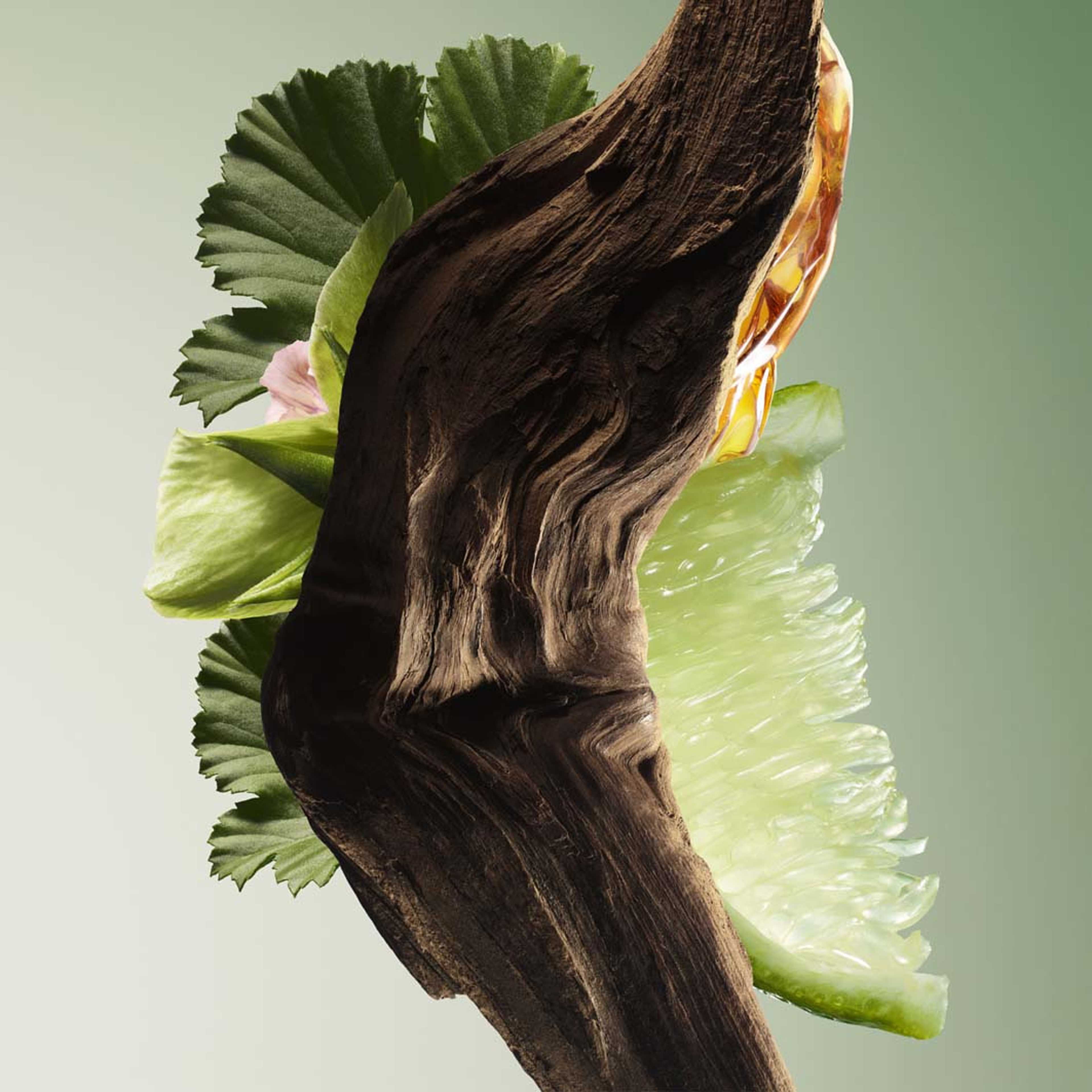 Prada Paradigme Eau de Parfum, från Prada. Klicka för att öppna bilden i stort format