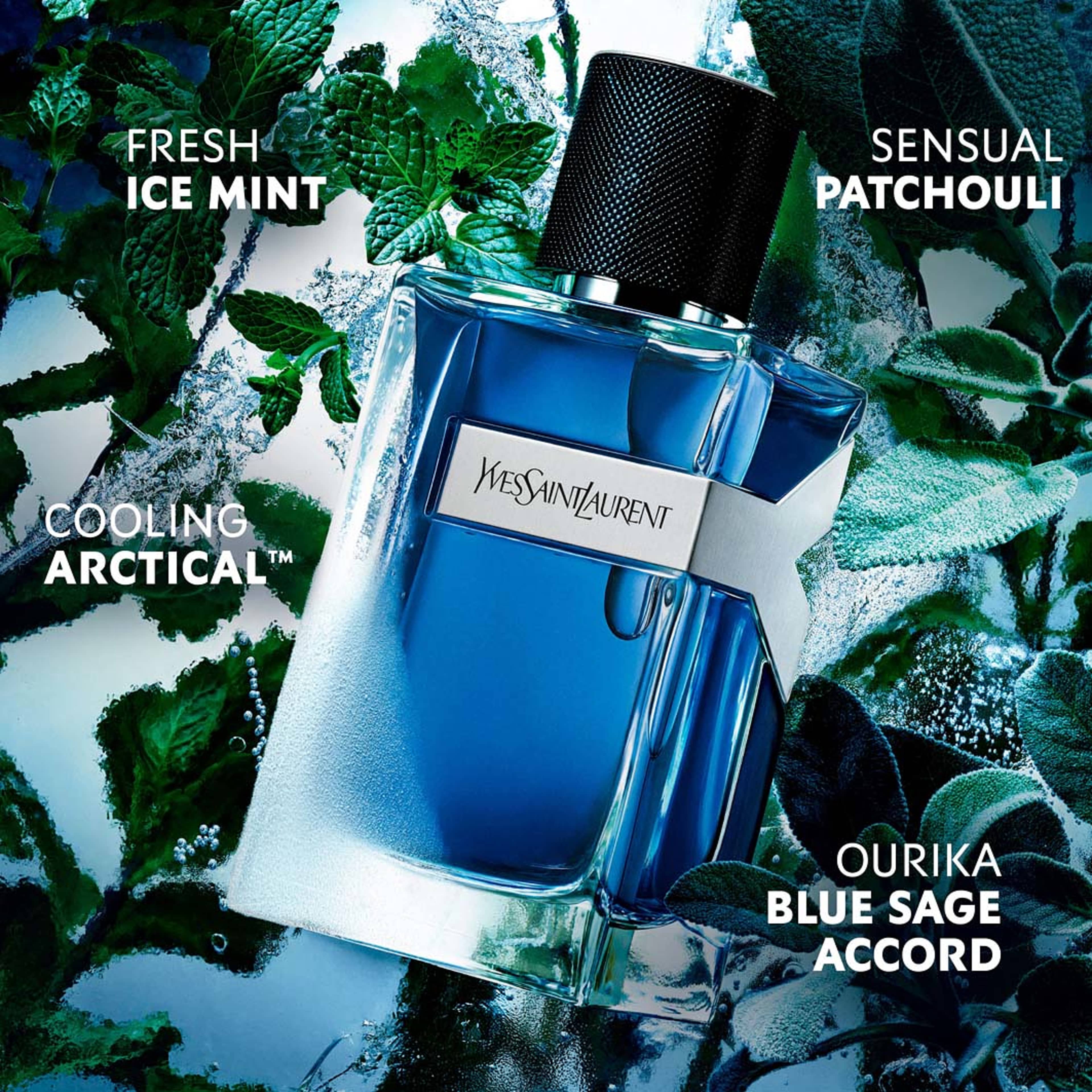 Y Iced Cologne Eau de Toilette Intense, från Yves Saint Laurent. Klicka för att öppna bilden i stort format