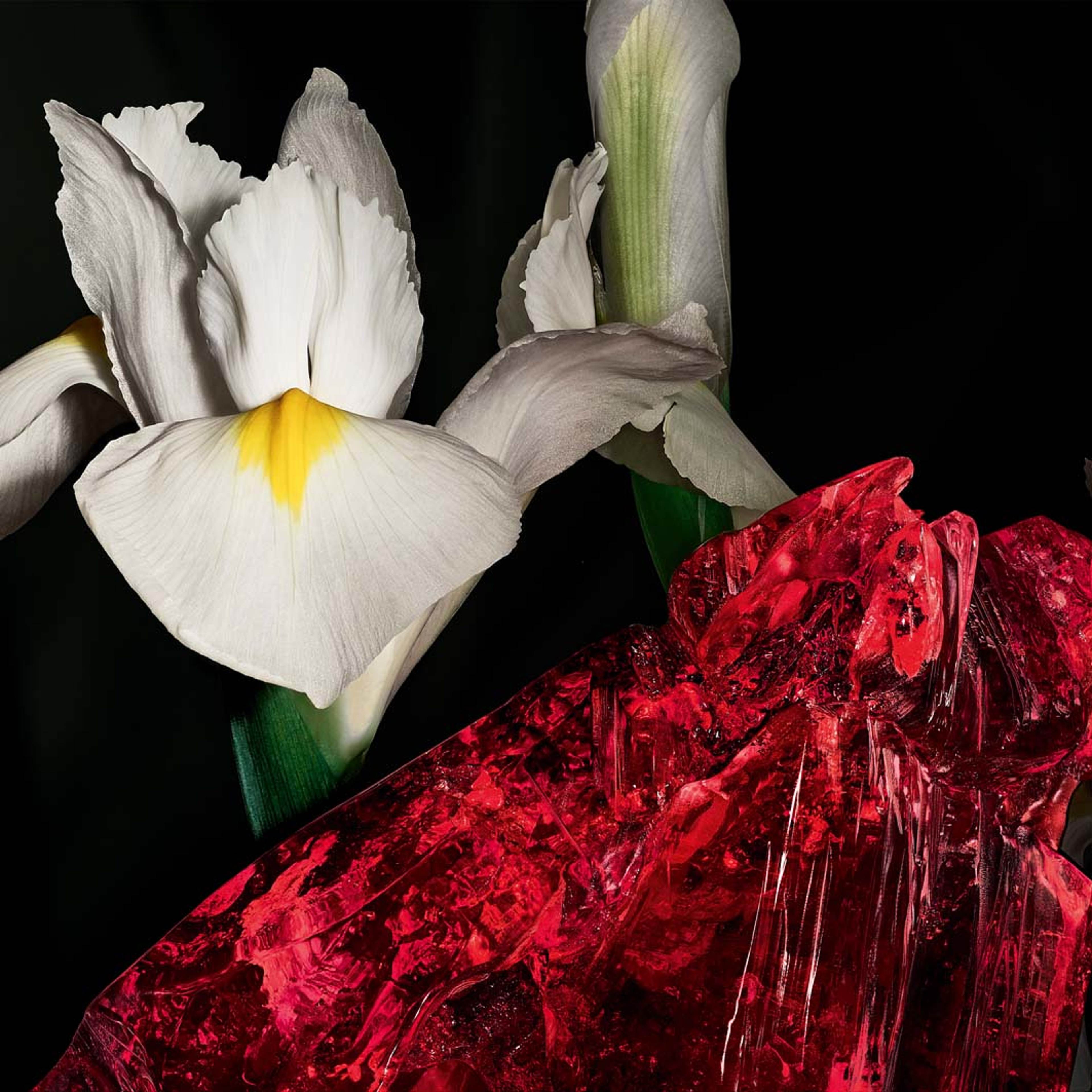 Le Vestiaire des Parfums COEUR Eau de Parfum, från Yves Saint Laurent. Klicka för att öppna bilden i stort format