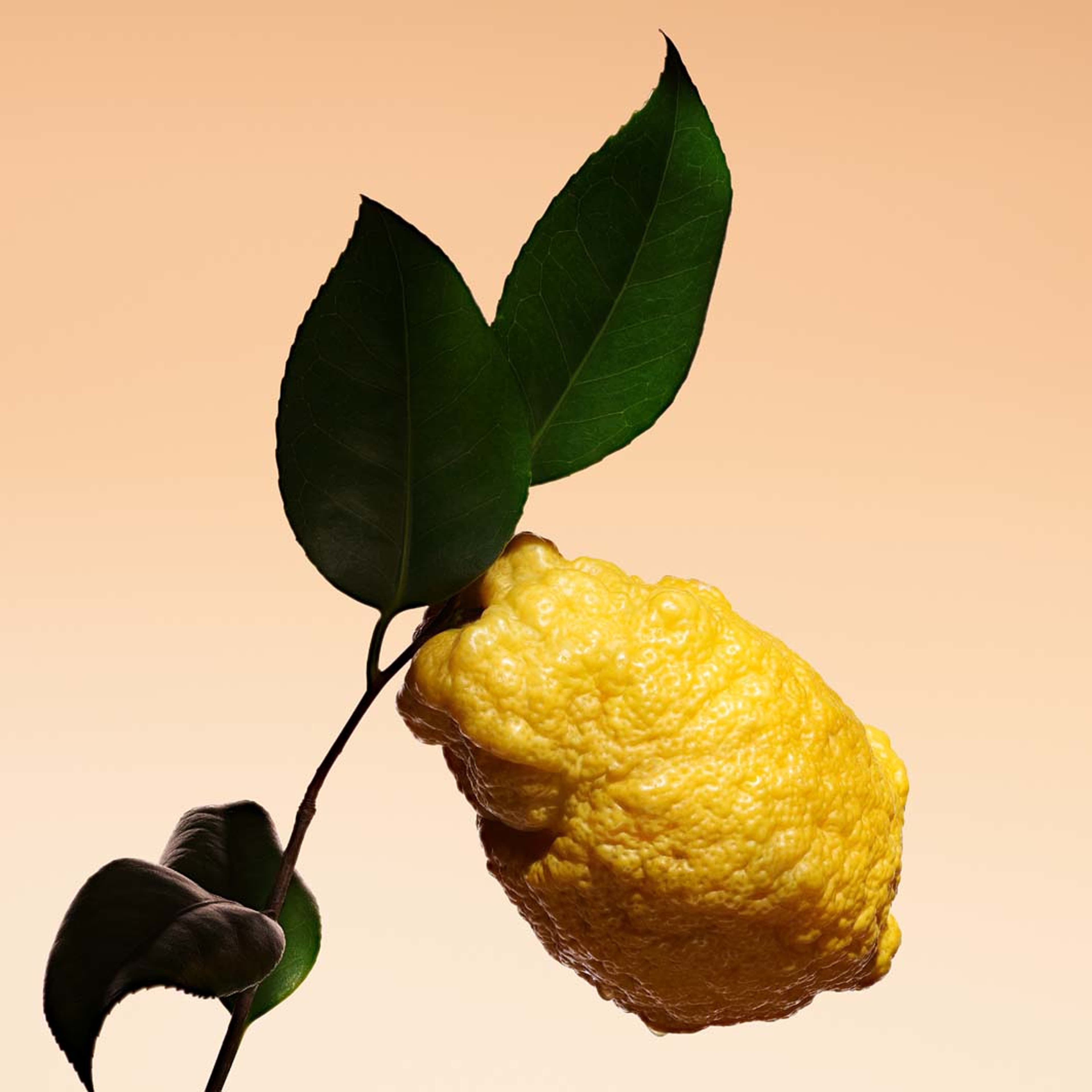 Orange Méditerranée Eau de Toilette, från Armani. Klicka för att öppna bilden i stort format