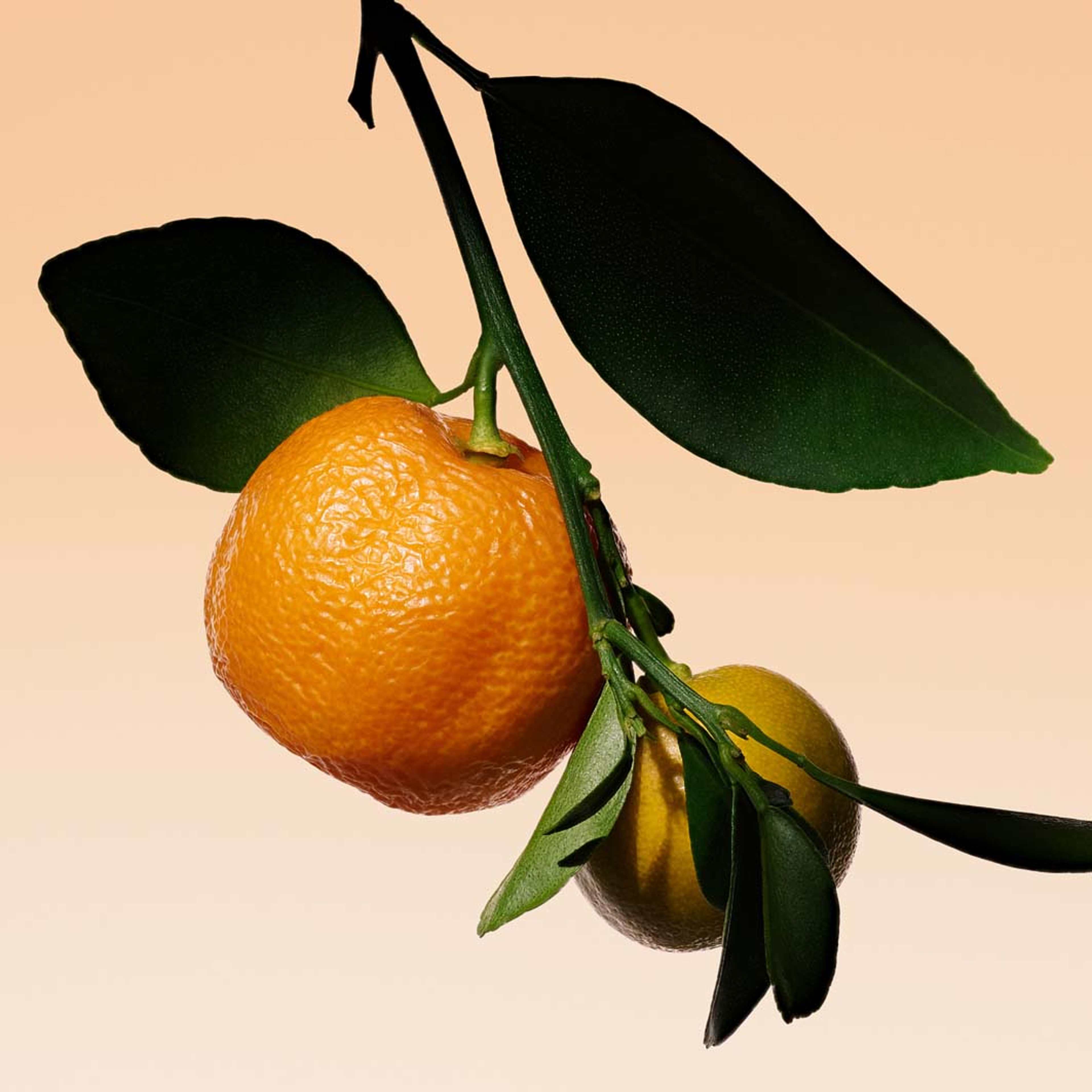 Orange Méditerranée Eau de Toilette, från Armani. Klicka för att öppna bilden i stort format