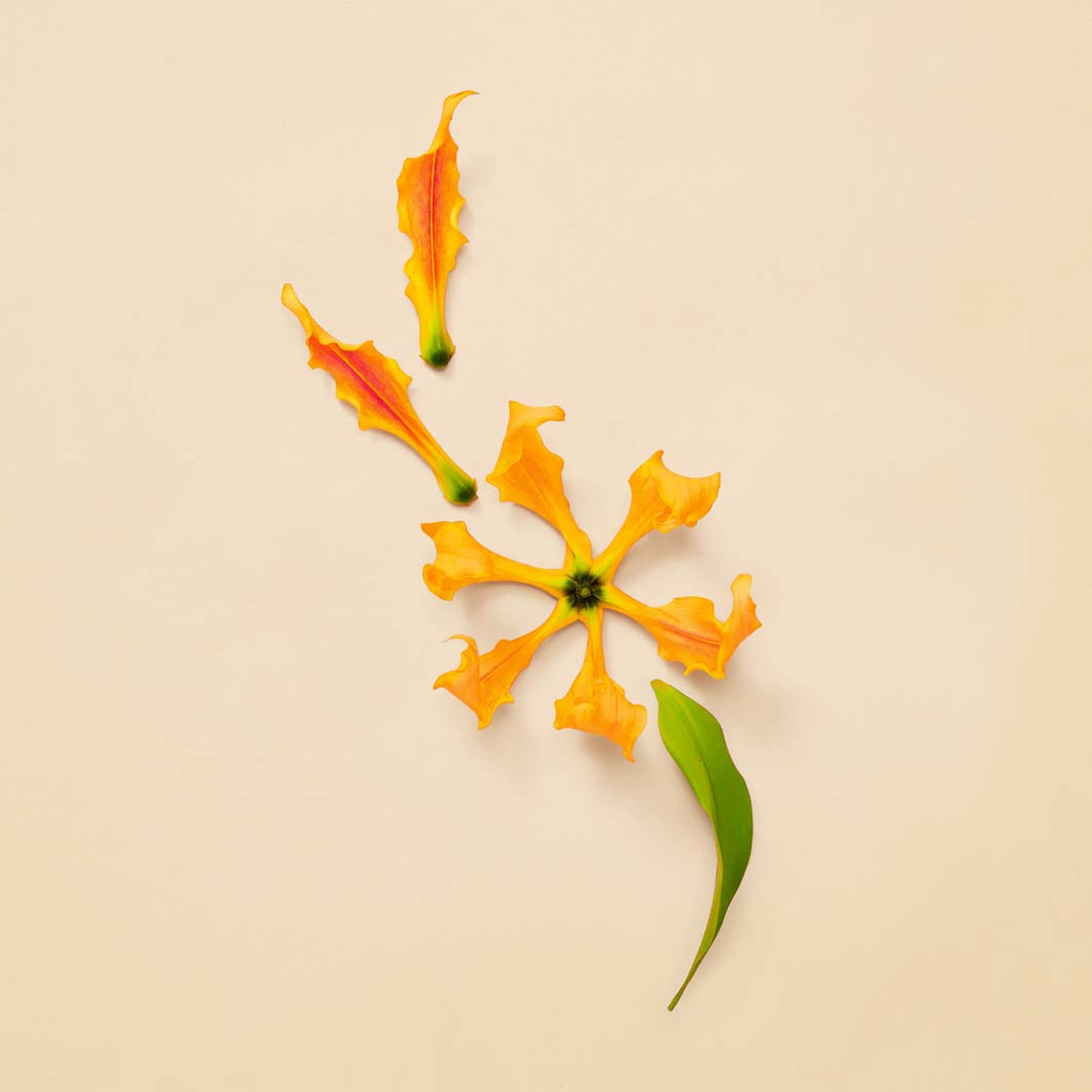 Guilty Pour Femme Intense Eau de Parfum, från Gucci. Klicka för att öppna bilden i stort format