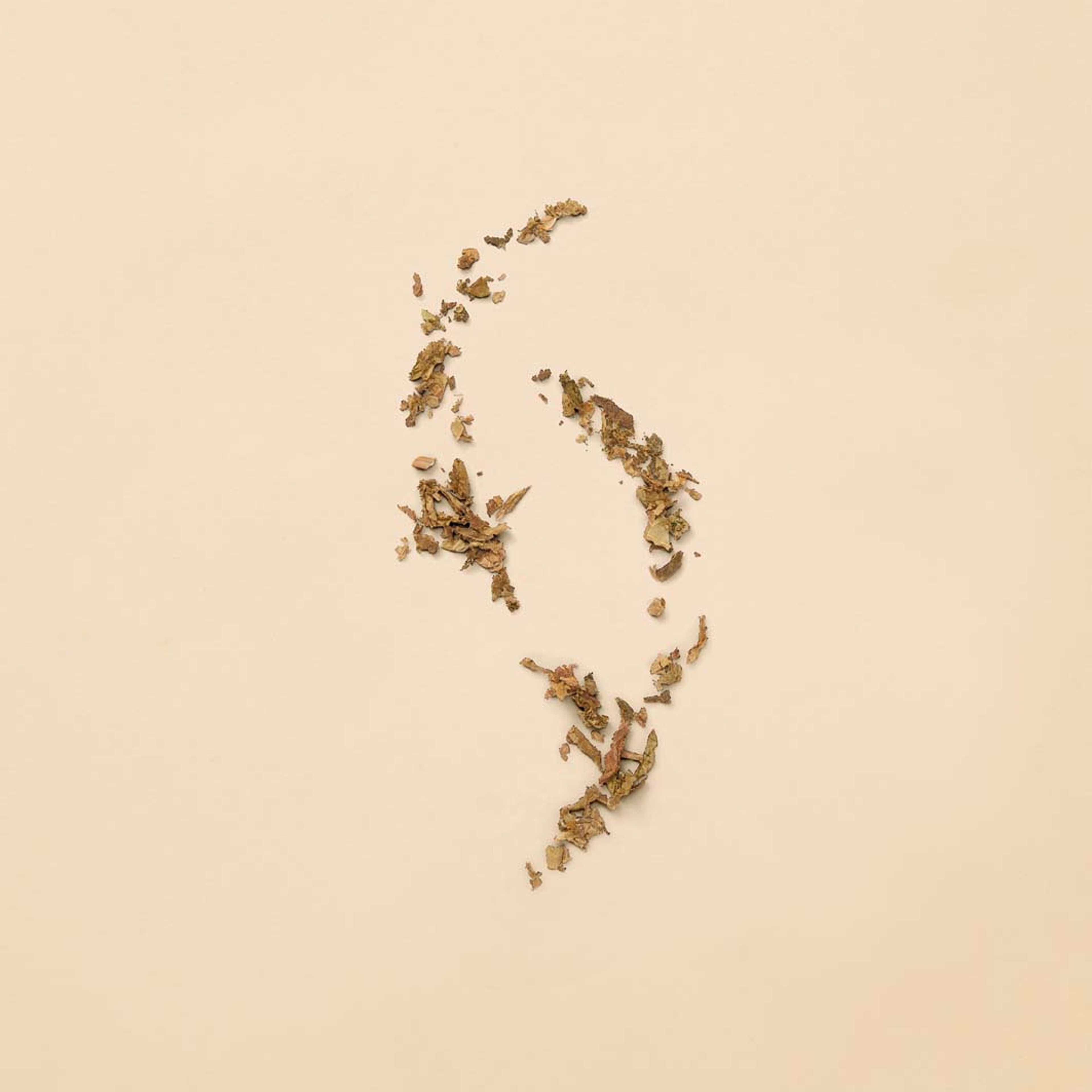 Guilty Pour Femme Eau de Toilette, från Gucci. Klicka för att öppna bilden i stort format