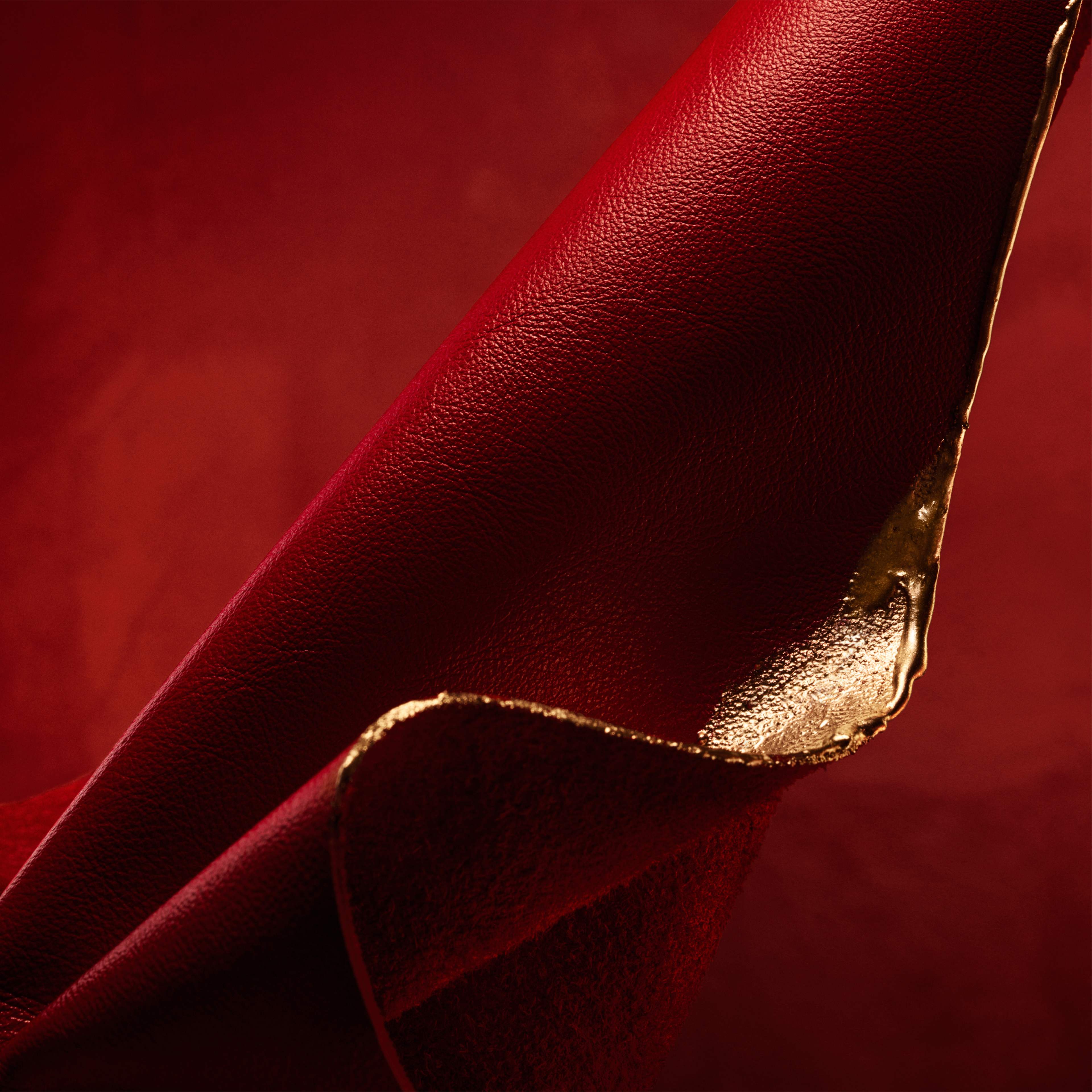 Alive Absolu Eau de parfum, från HUGO BOSS. Klicka för att öppna bilden i stort format