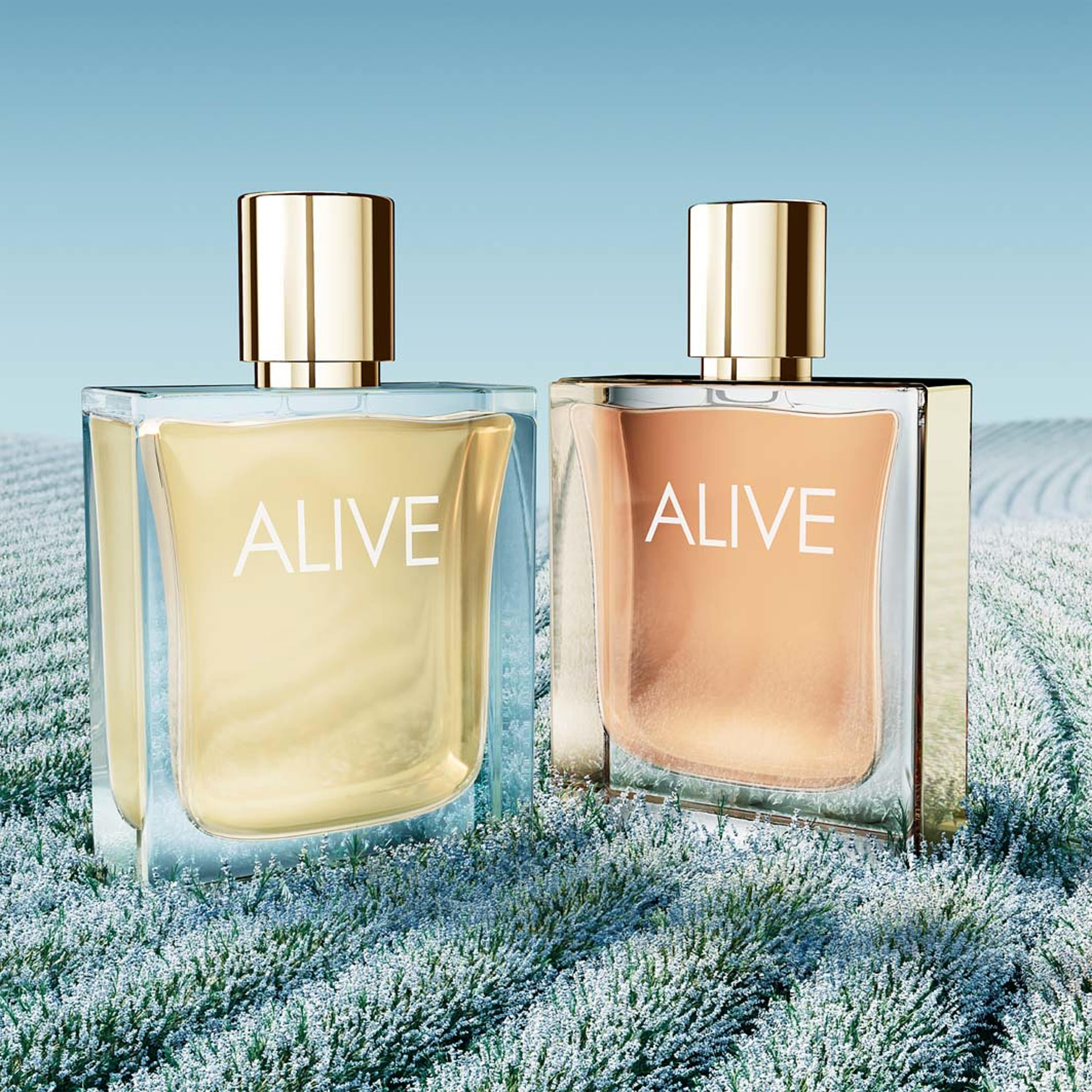 Alive Sparkling Lavender EdP, från HUGO BOSS. Klicka för att öppna bilden i stort format