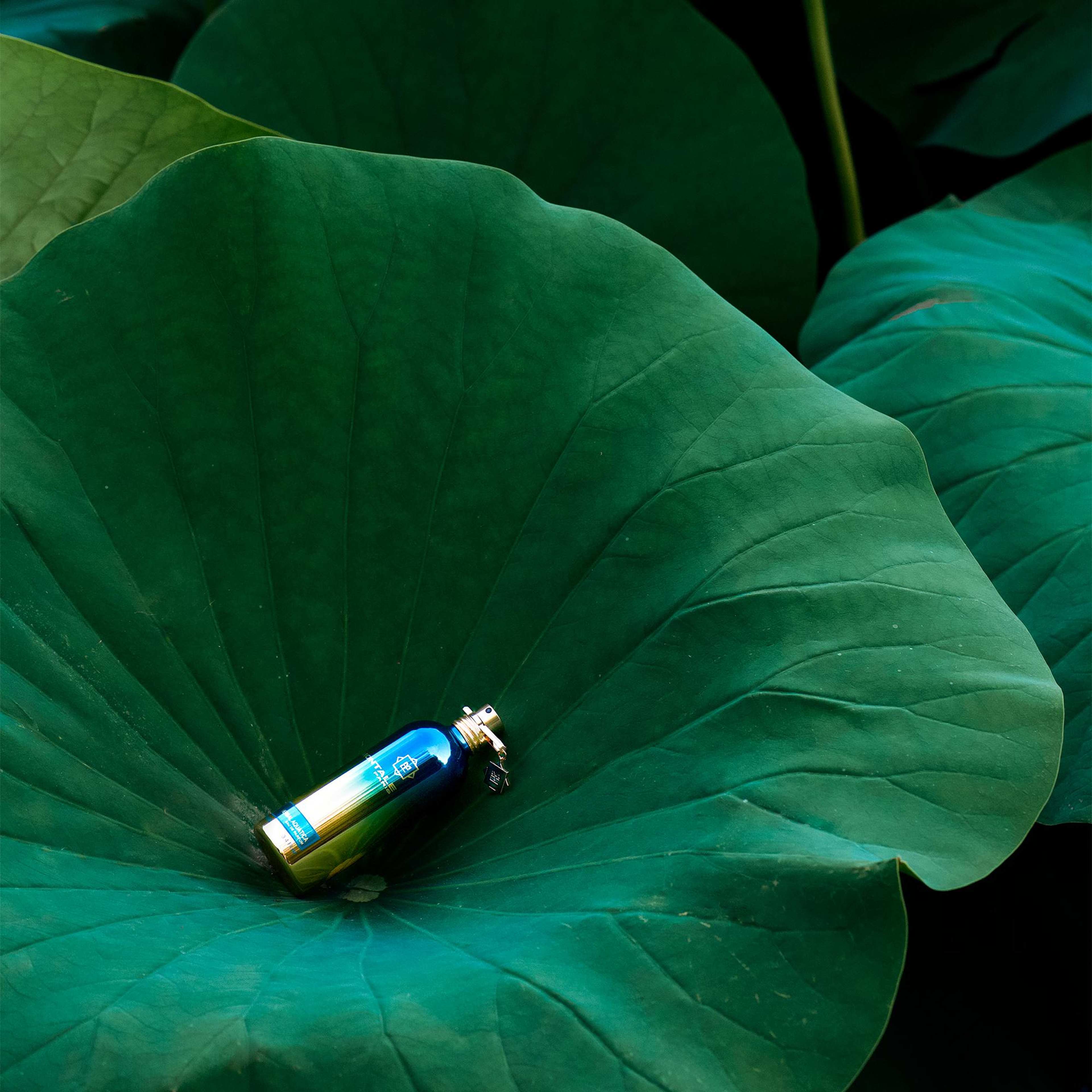 Herbal Aquatica, från MONTALE.