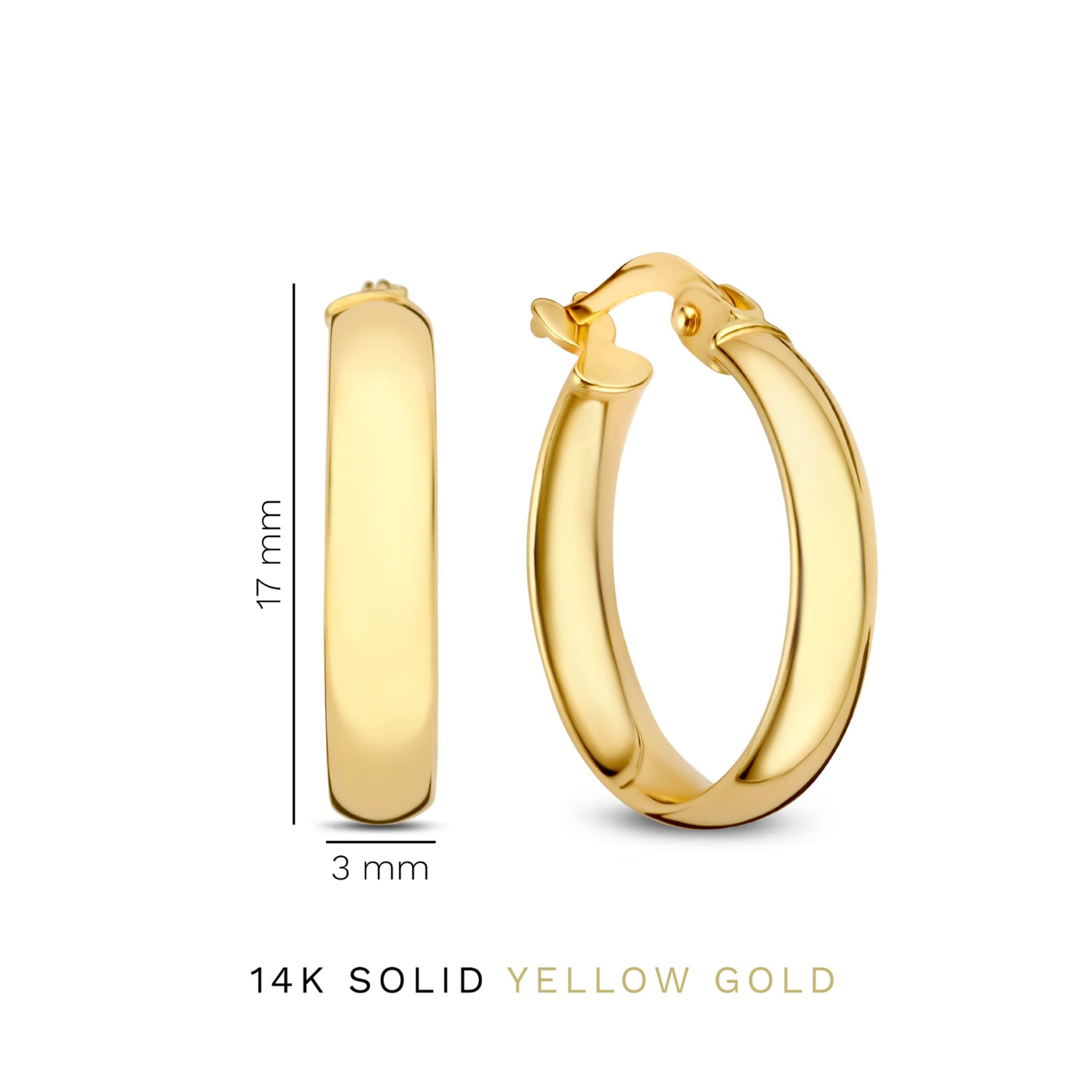Rivoli 14 Karat Guld Creoler