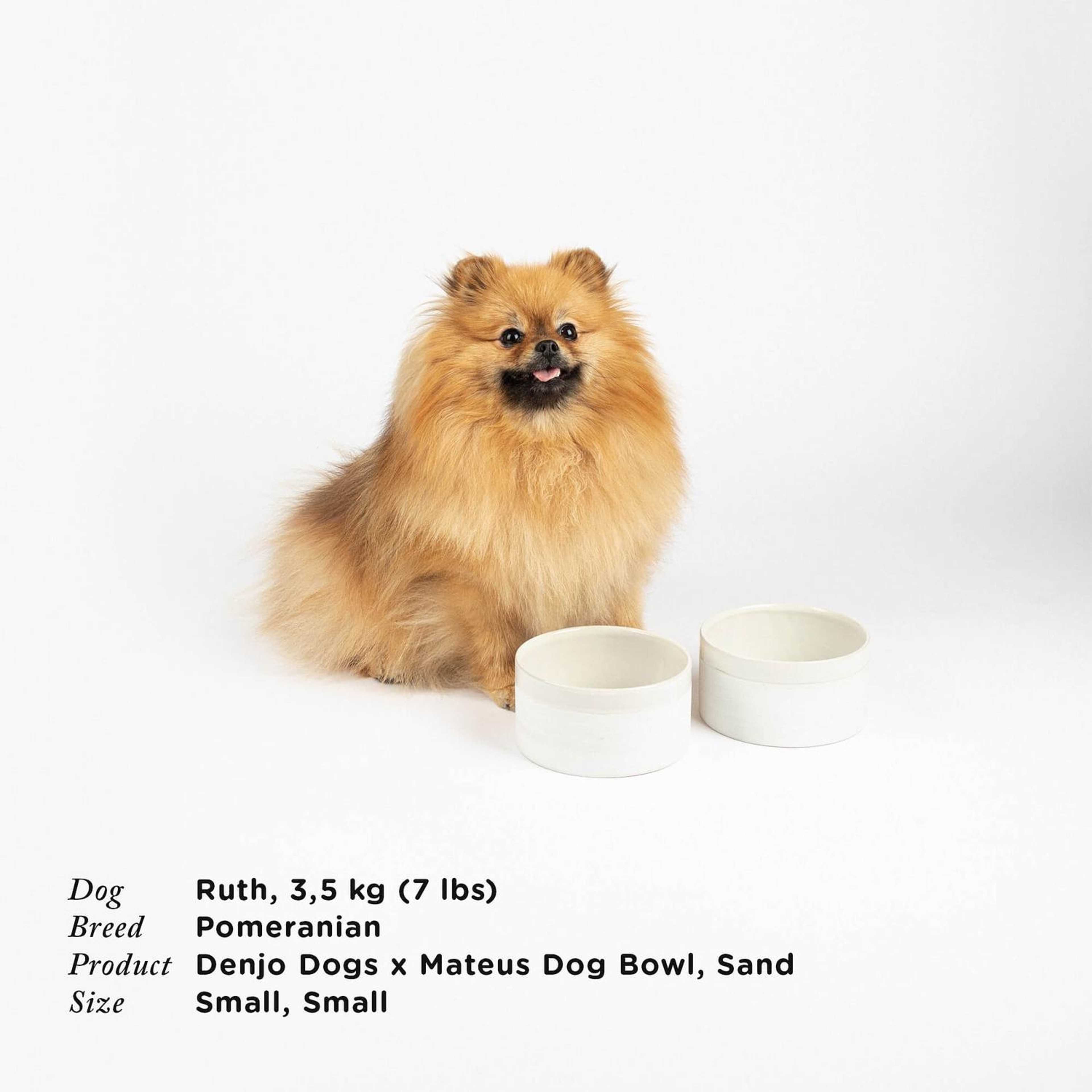 Hundmatskål Sand – Mateus X Denjo
