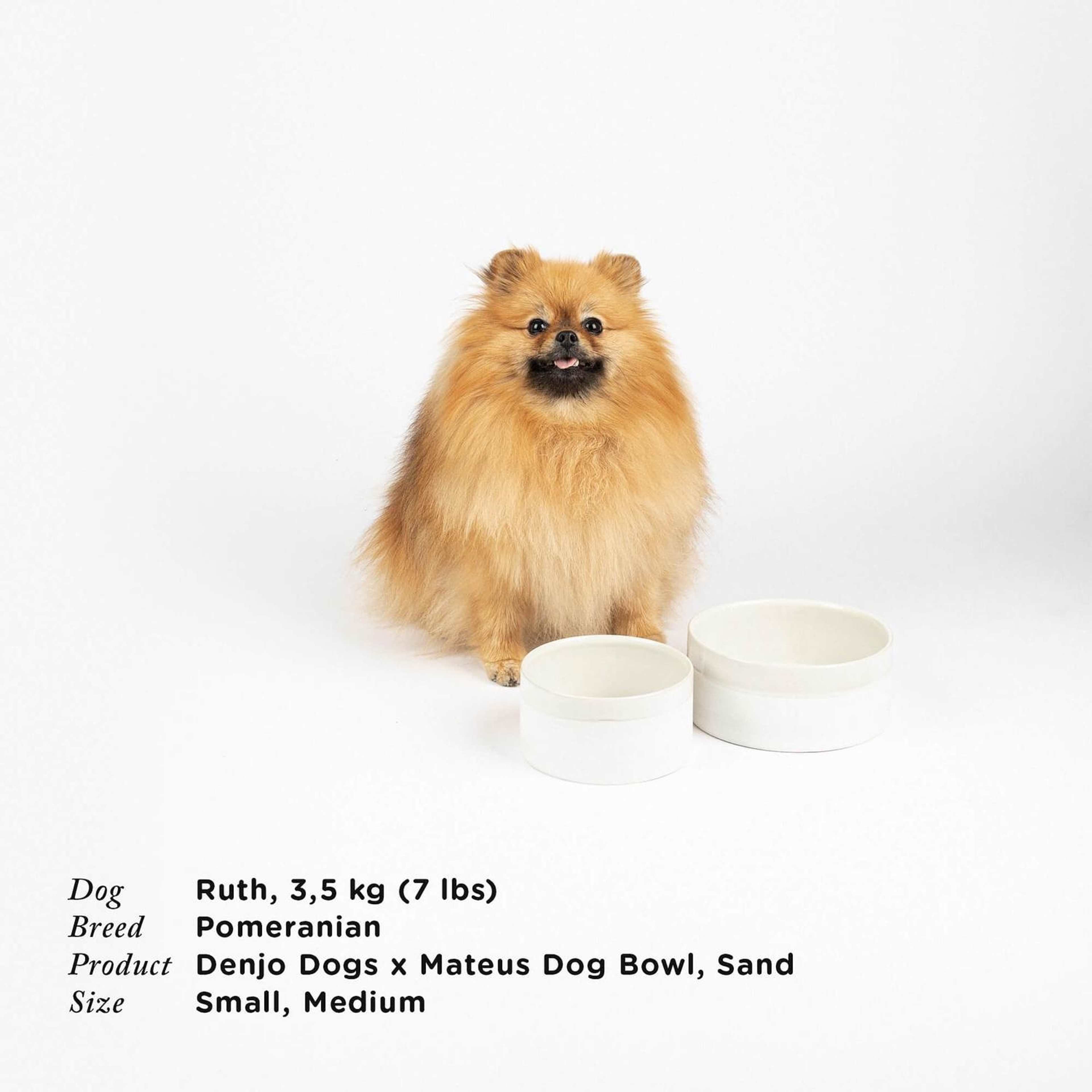 Hundmatskål Sand – Mateus X Denjo