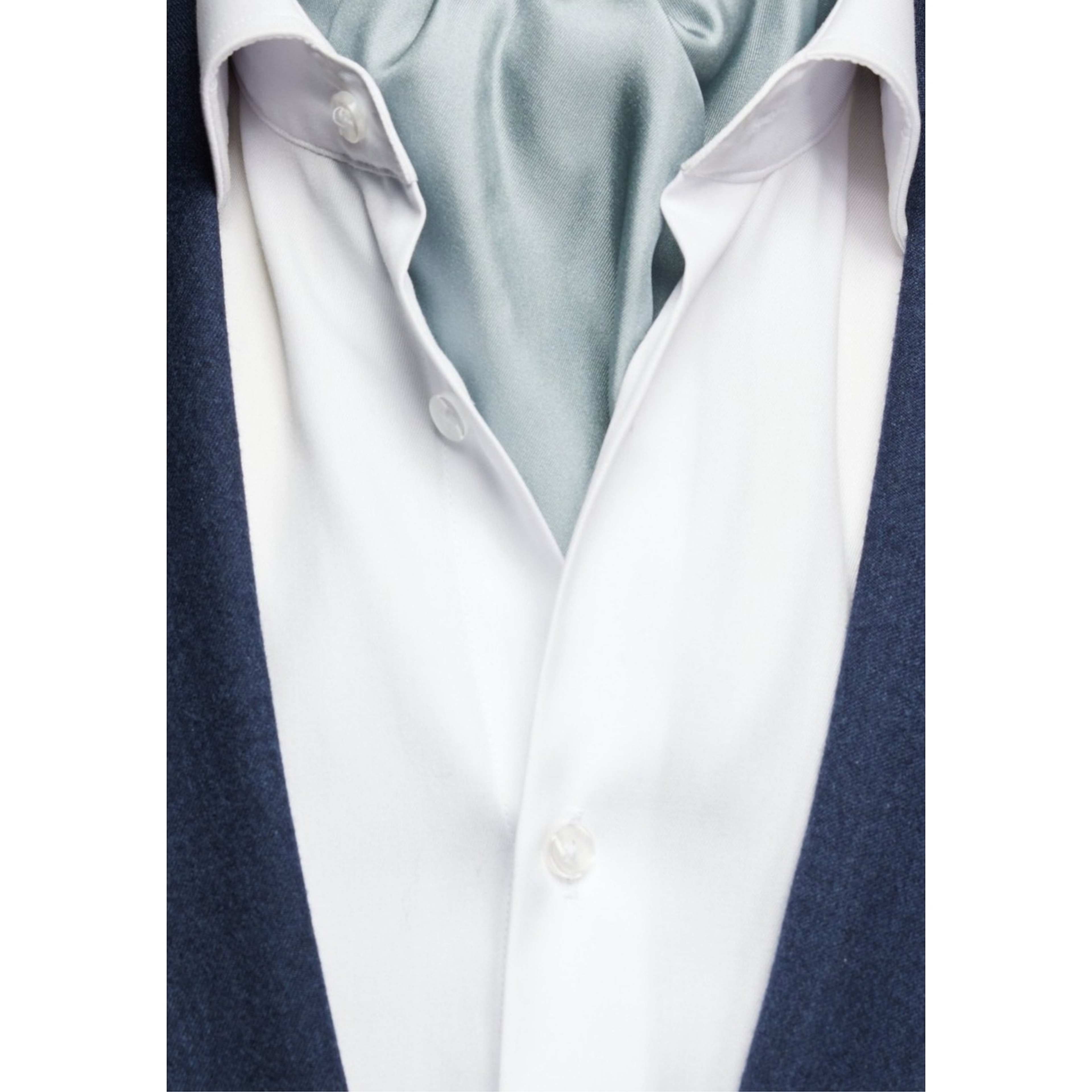 Silk Single Pointed Ascot Plain