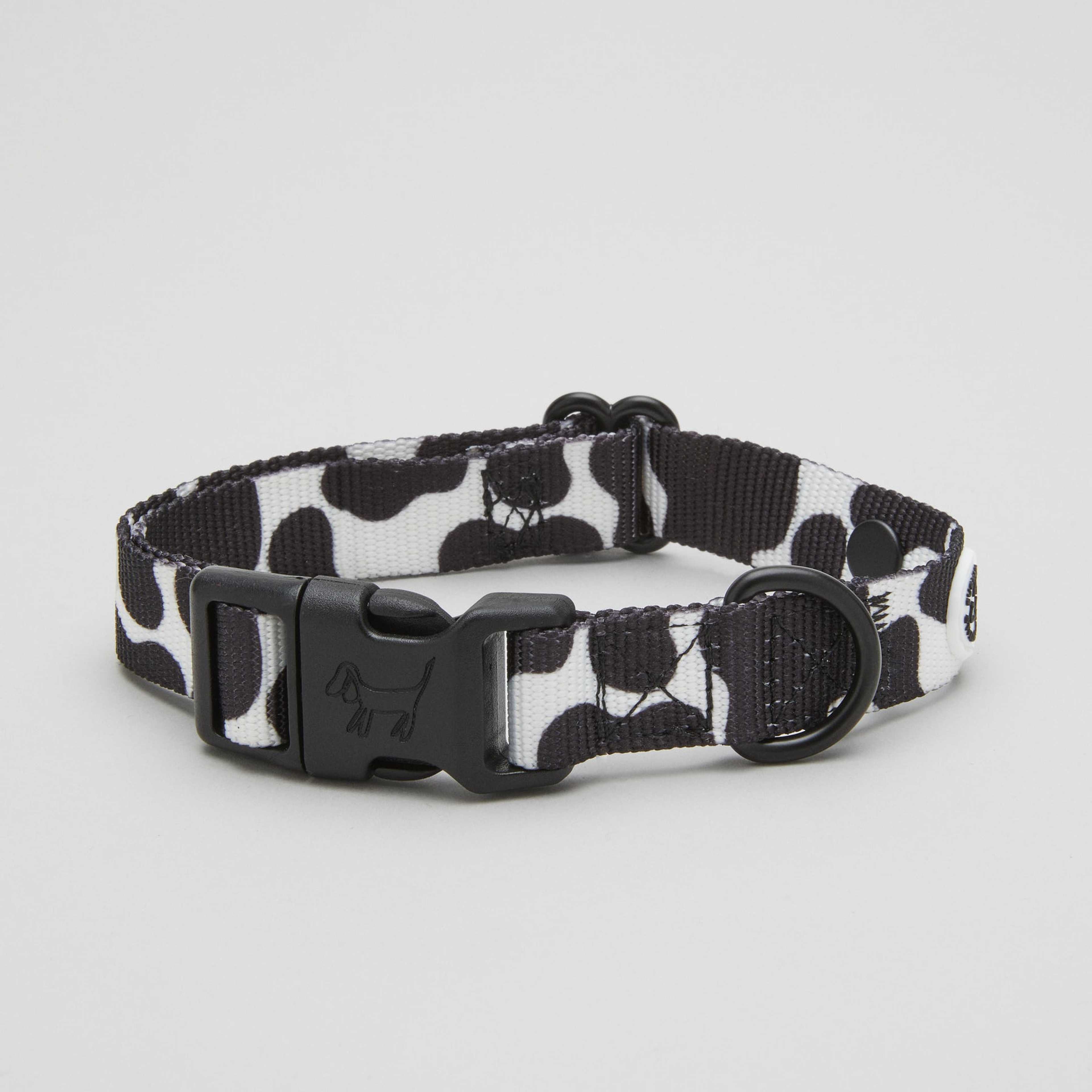 Cow Dog Collar Walk Kit - M