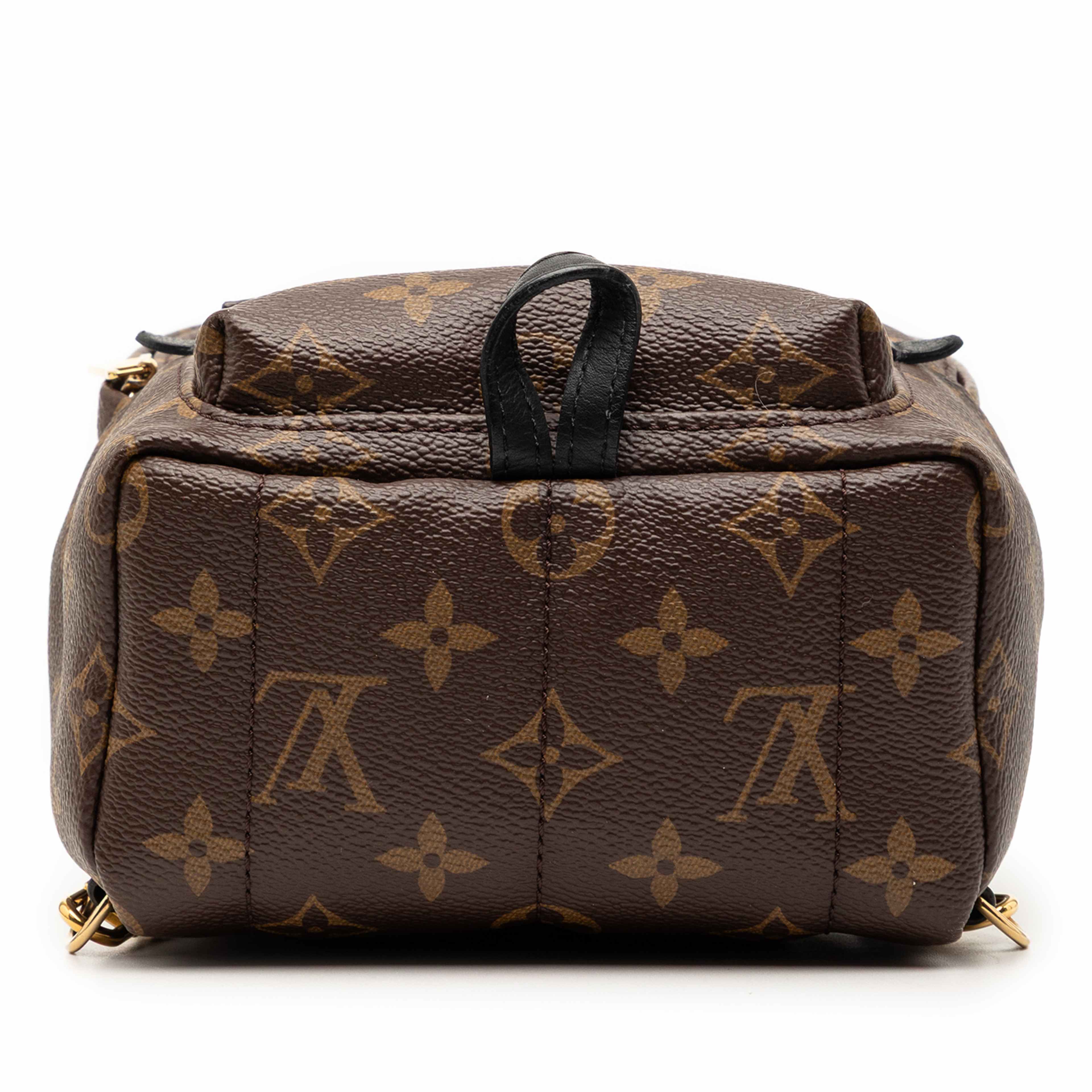 Louis Vuitton Monogram Mini Palm Springs, från Luxclusif, i färgen brun. Klicka för att öppna bilden i stort format