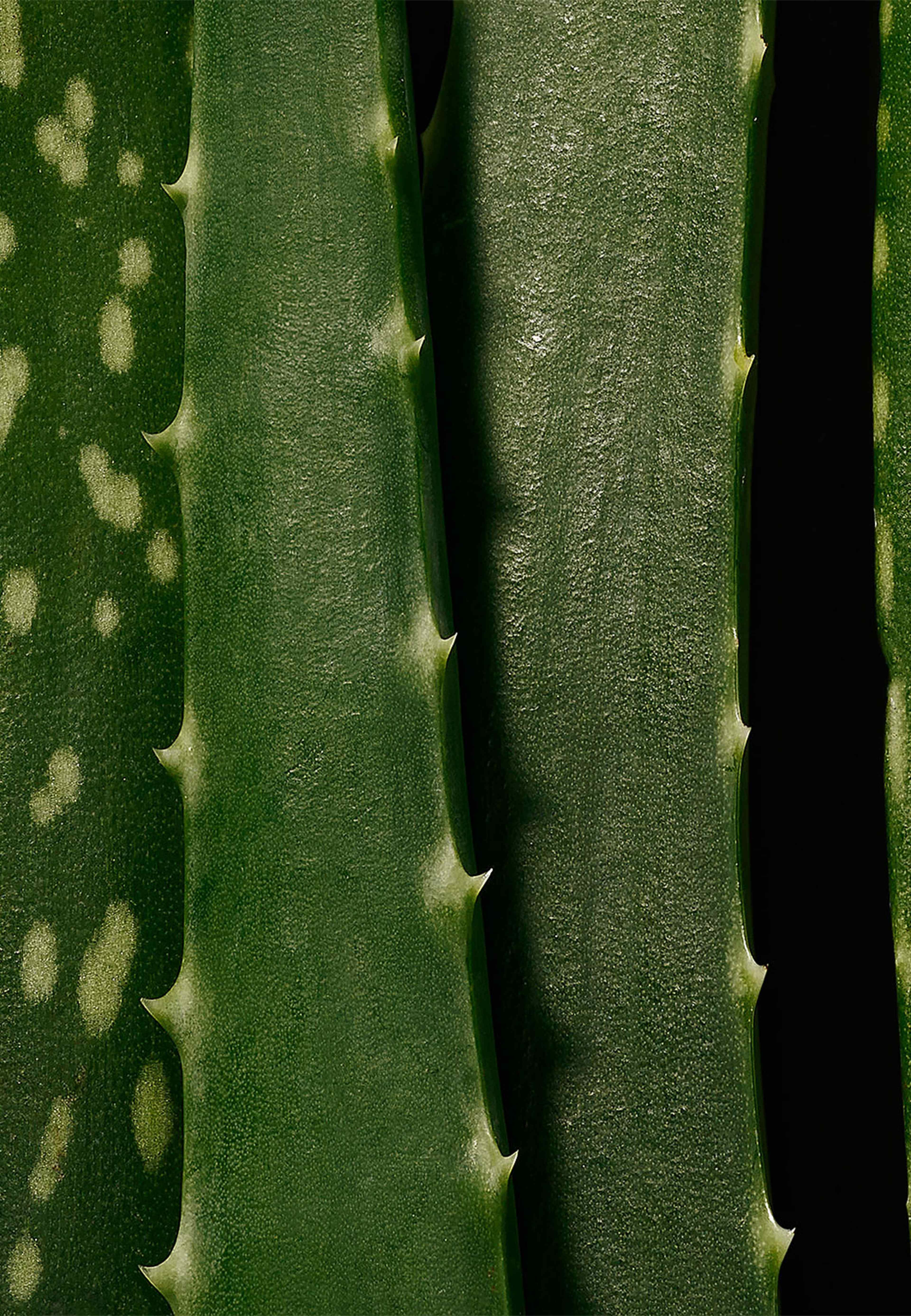 Moisture Glow Serum