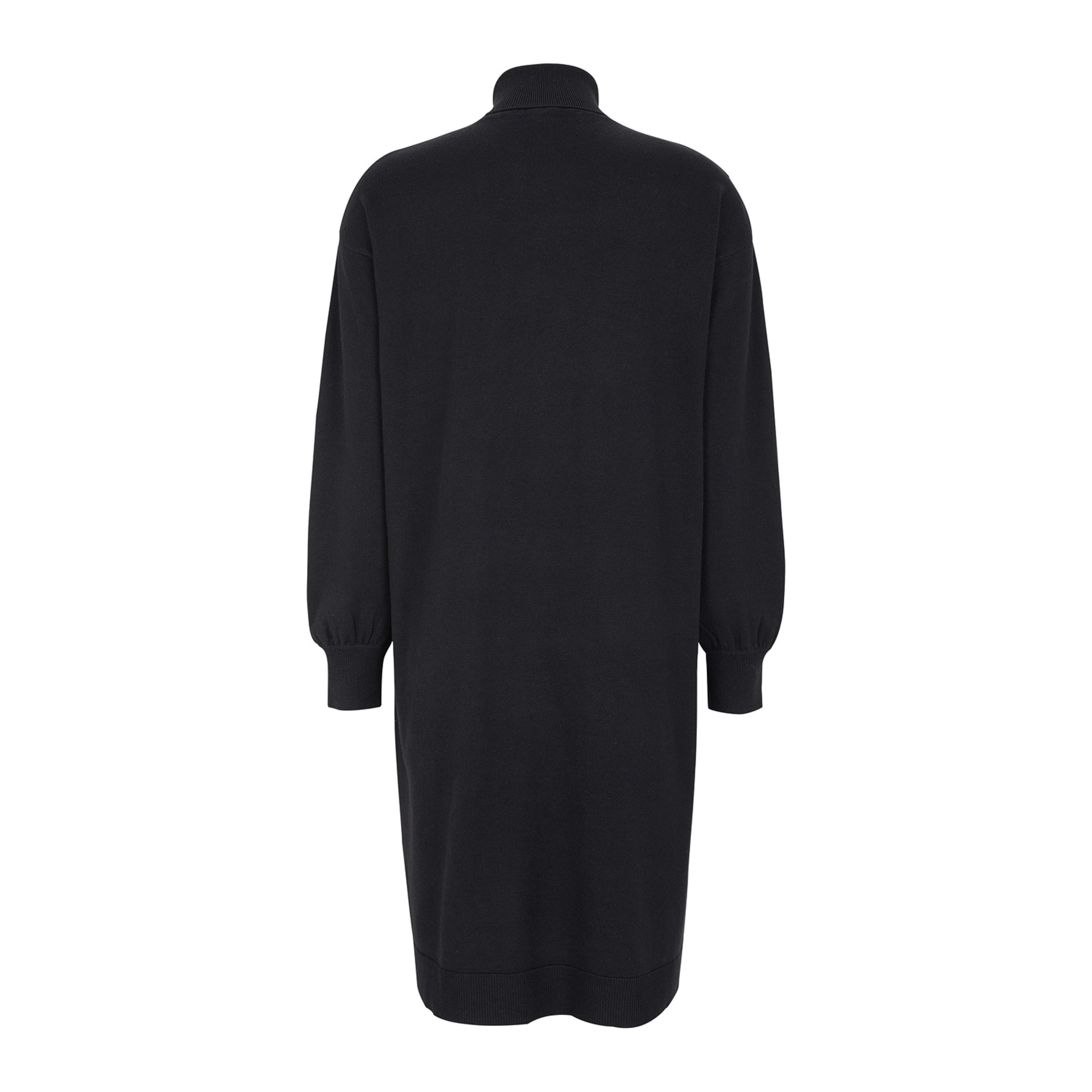 Srlea Rollneck Dress Knit