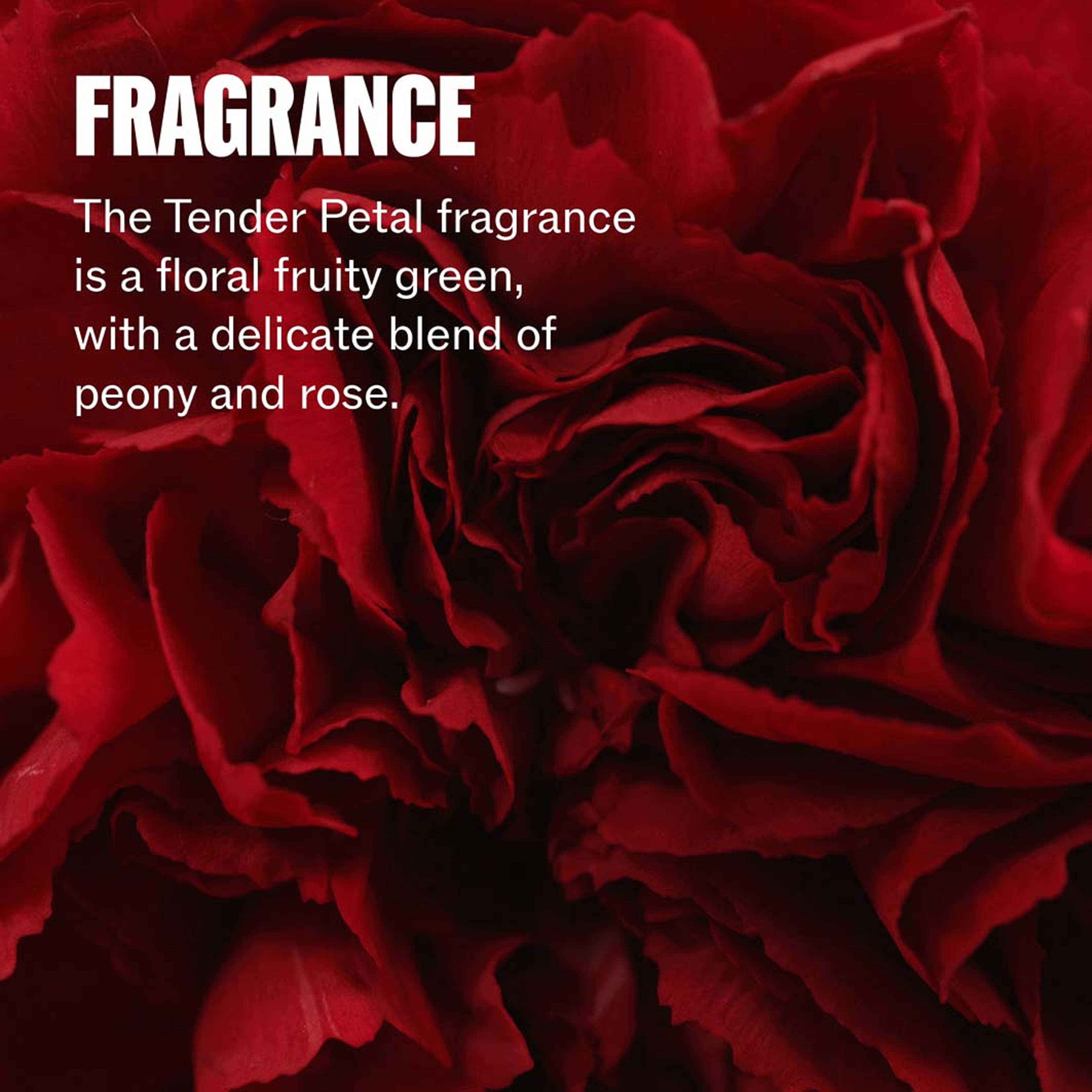 Ultimate Repair Conditioner, från Wella Professional. Klicka för att öppna bilden i stort format