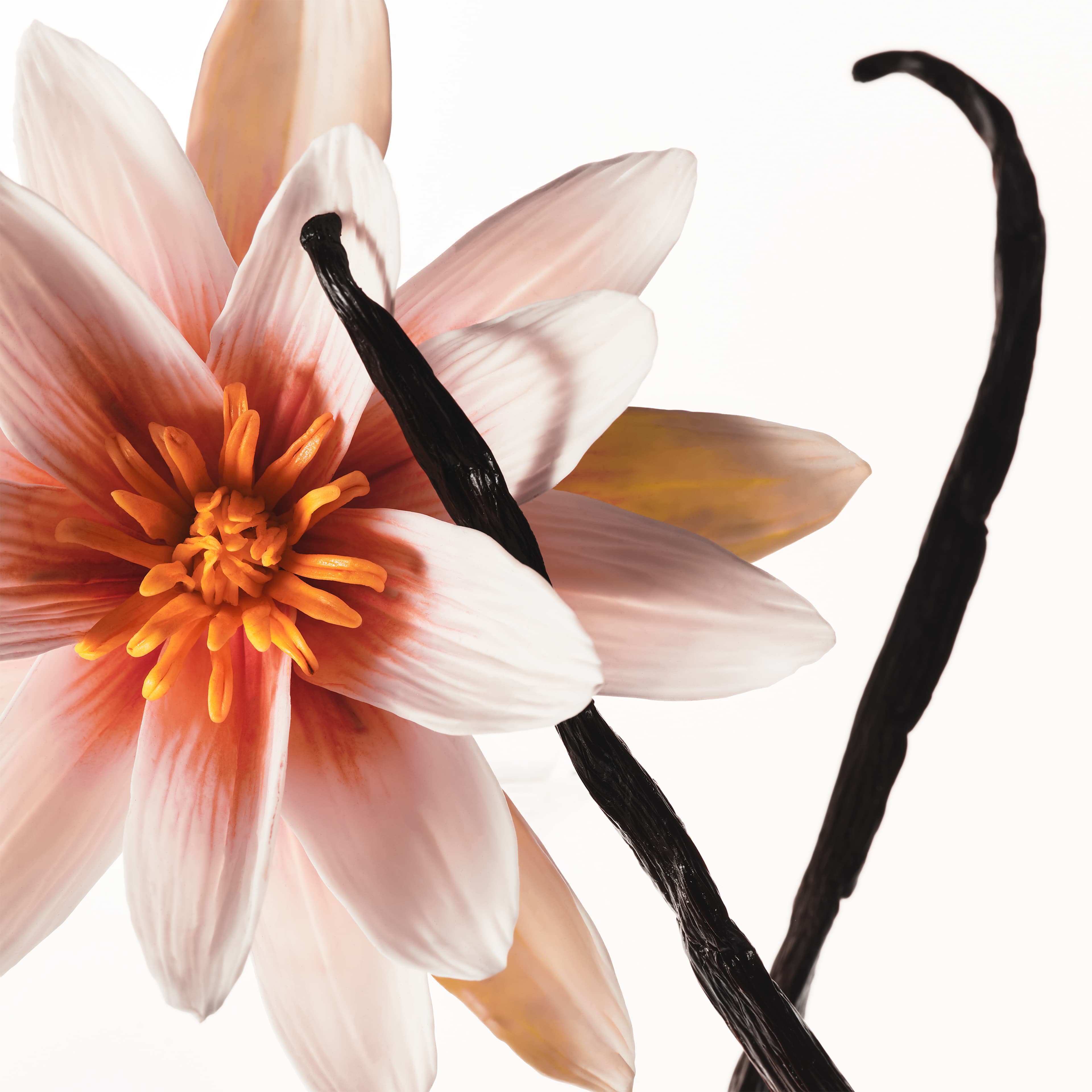 Hair & Body Mist Vanilla Dew, från Kylie Cosmetics. Klicka för att öppna bilden i stort format