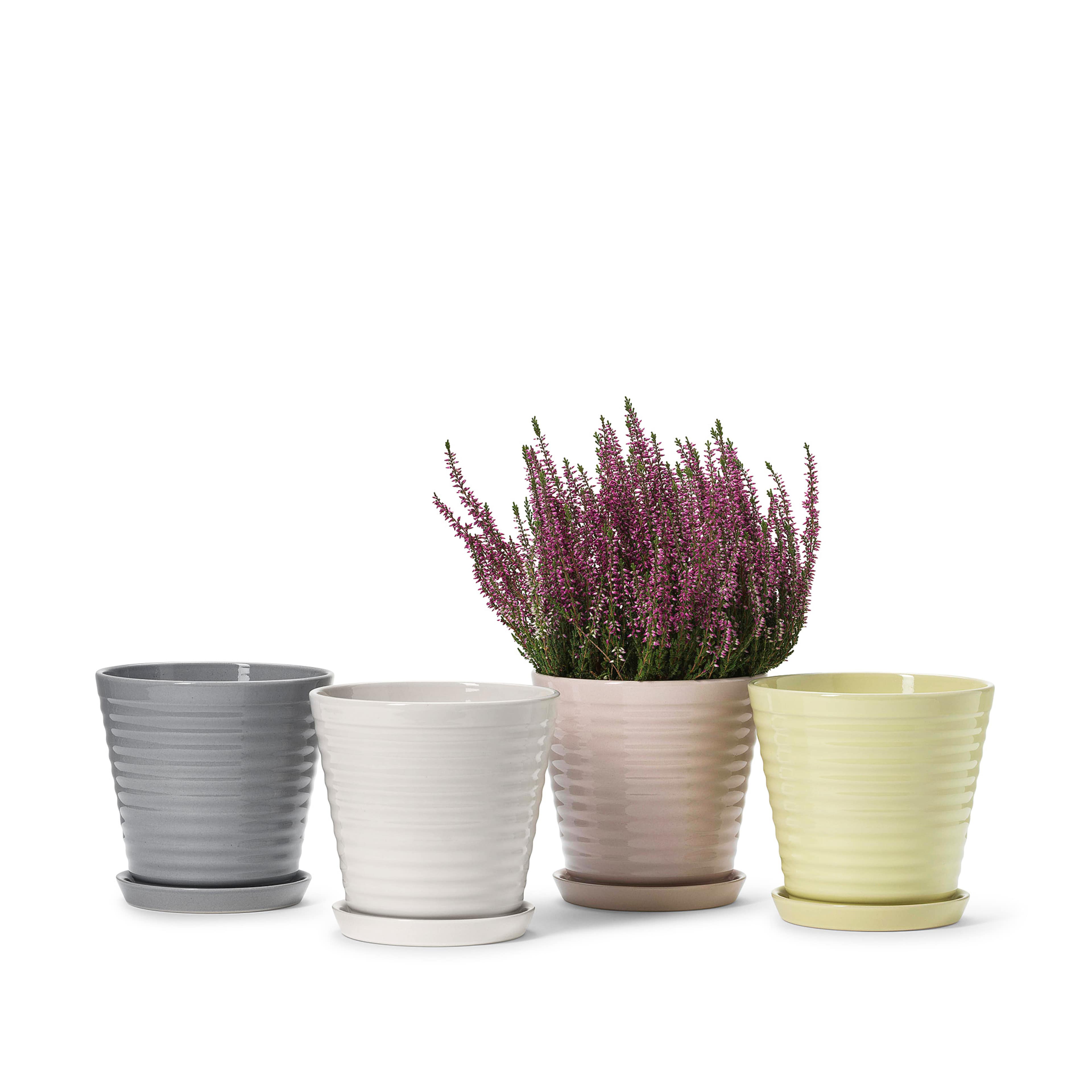 Lena Blomkruka Och Fat, från In Flore, i färgen rosa. Klicka för att öppna bilden i stort format