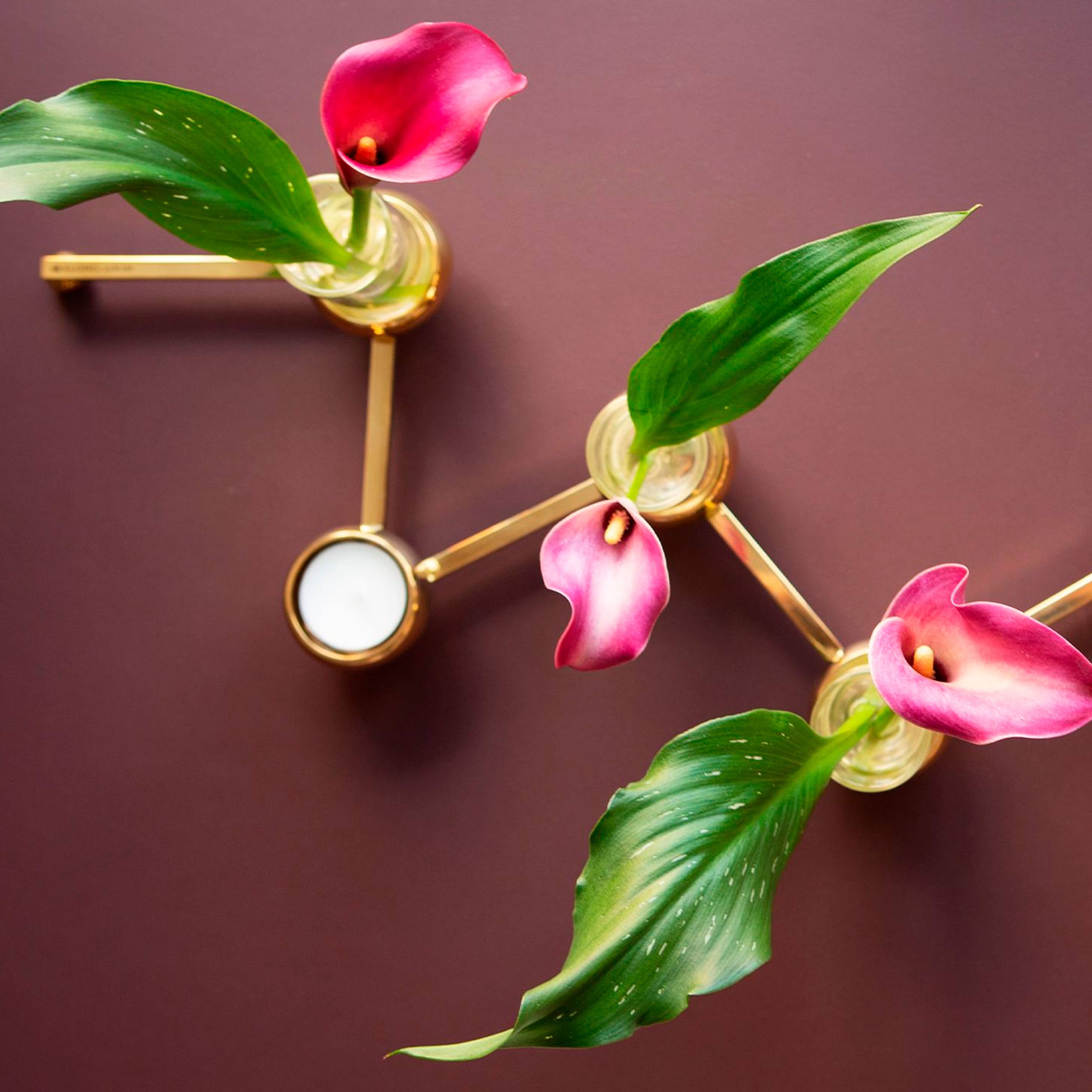 Constella Small Brass