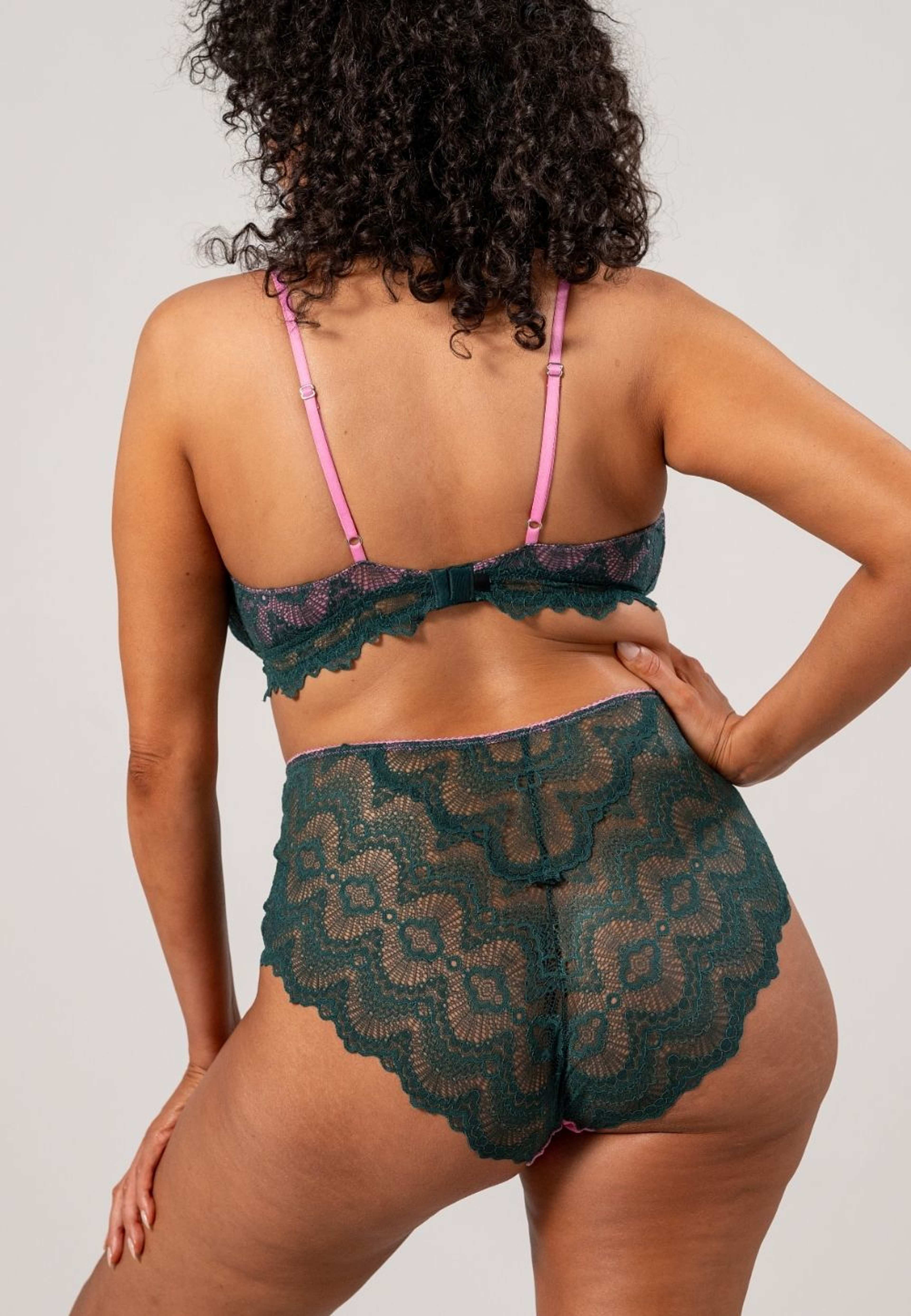 Lace Mesh Highwaist Briefs