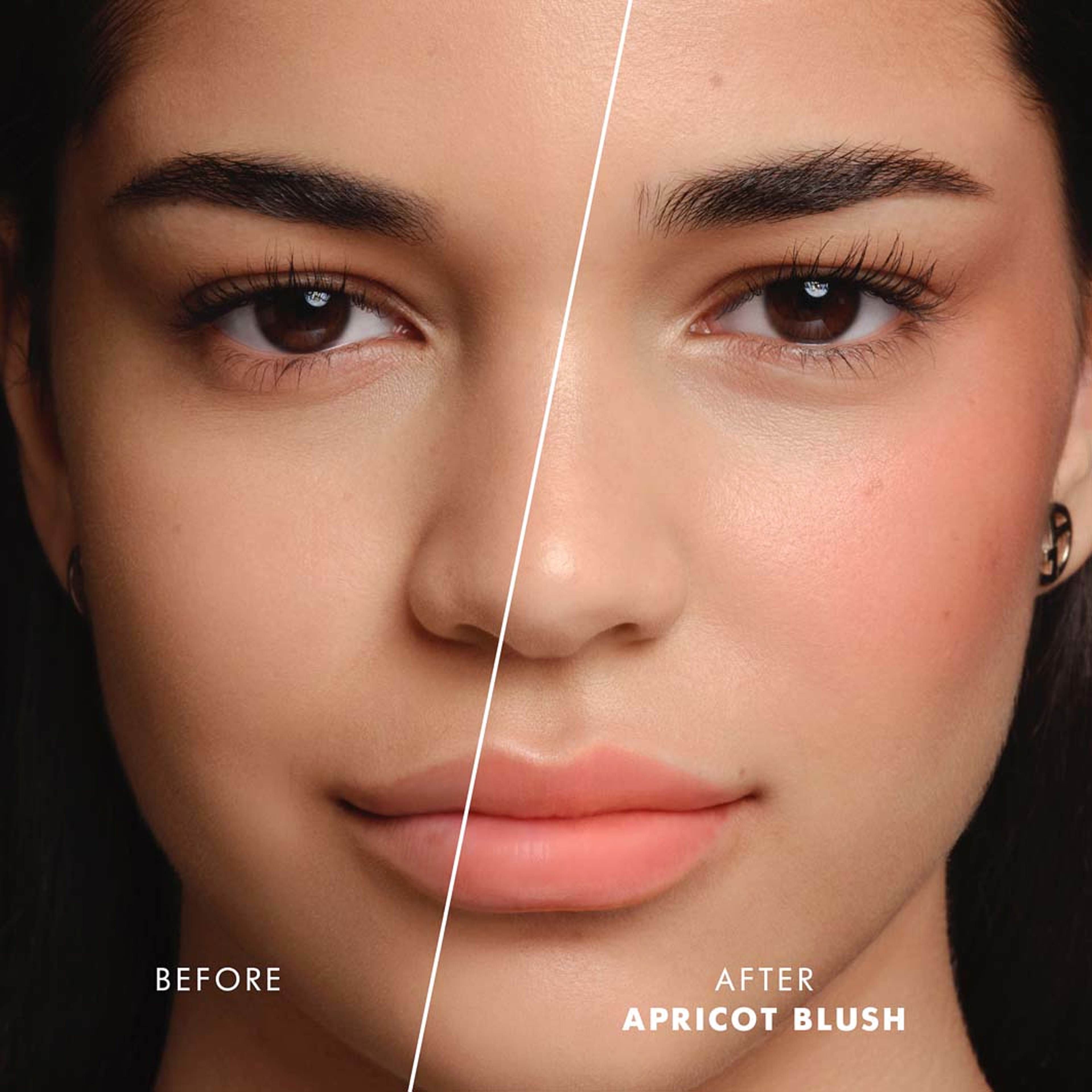 Dolci Makeup Blush, från Armani, i färgen 3. Klicka för att öppna bilden i stort format