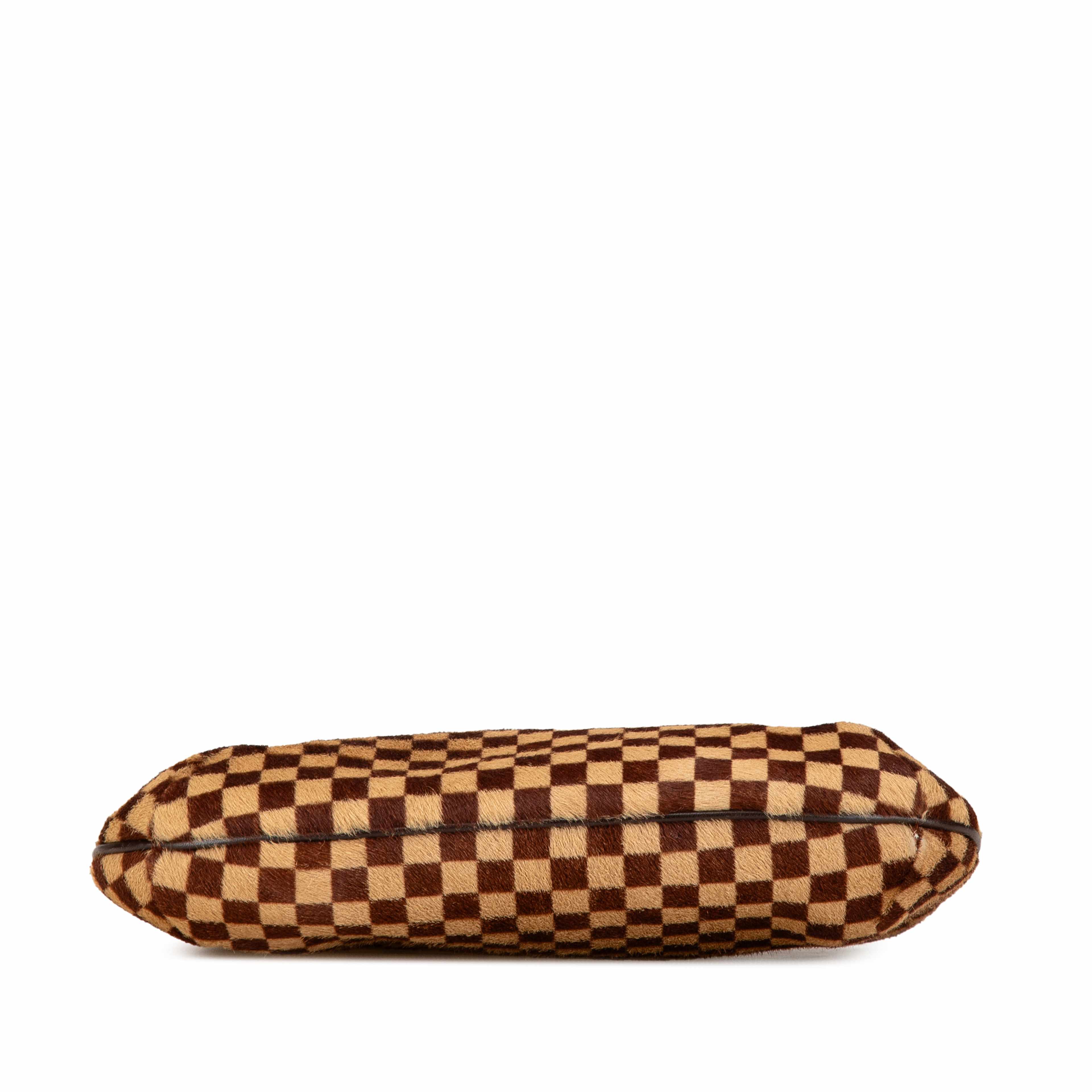 Louis Vuitton Damier Sauvage Tigre