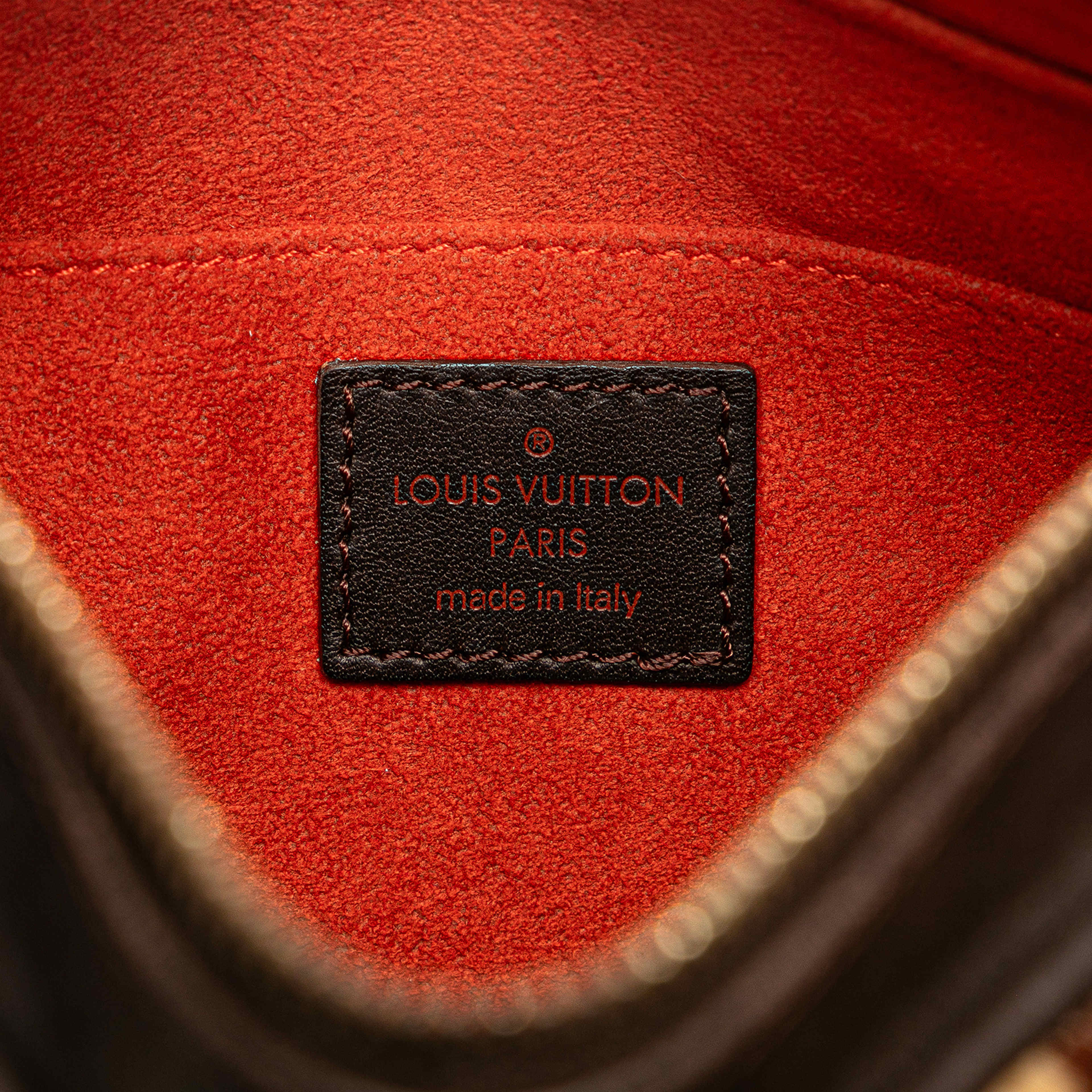 Louis Vuitton Damier Sauvage Tigre