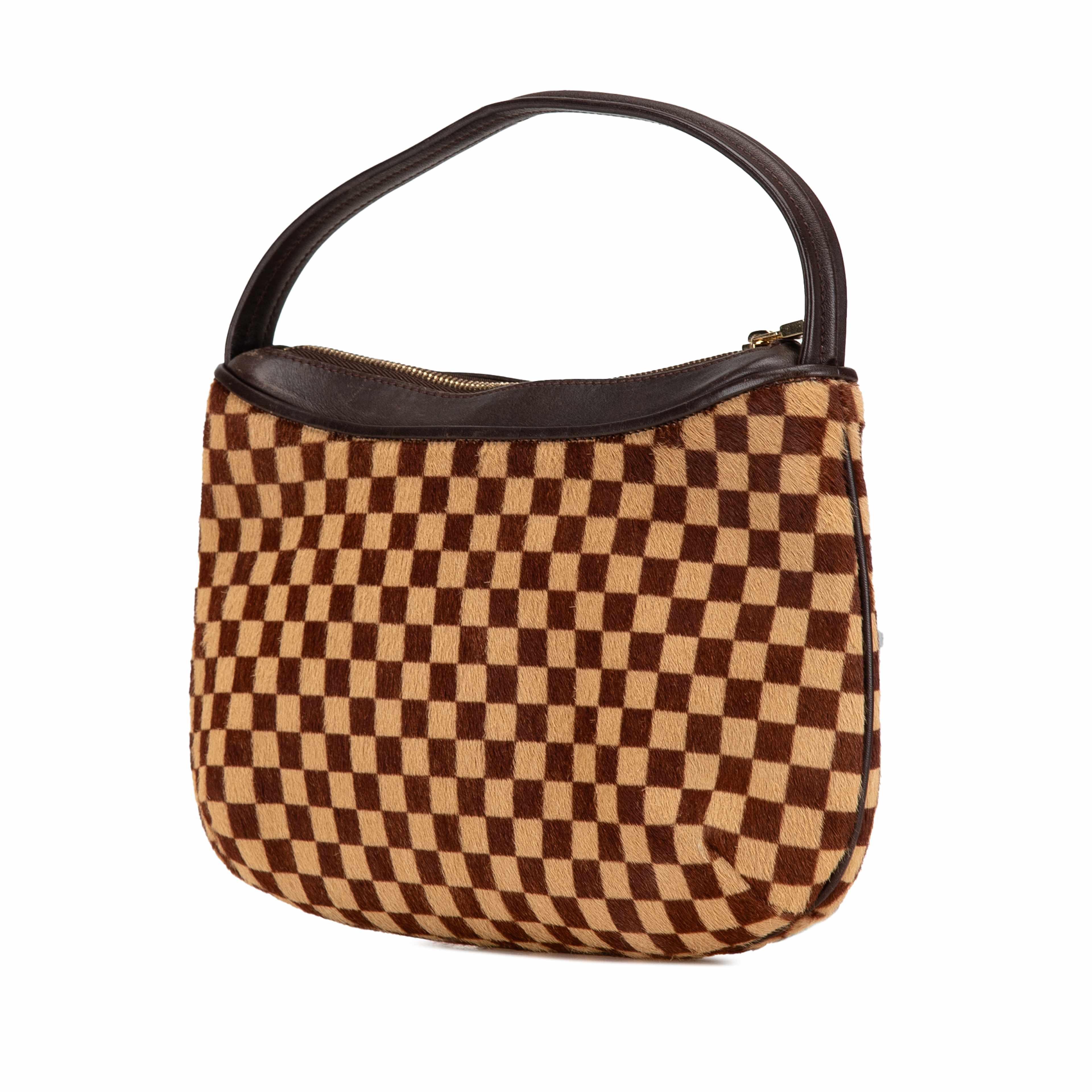 Louis Vuitton Damier Sauvage Tigre