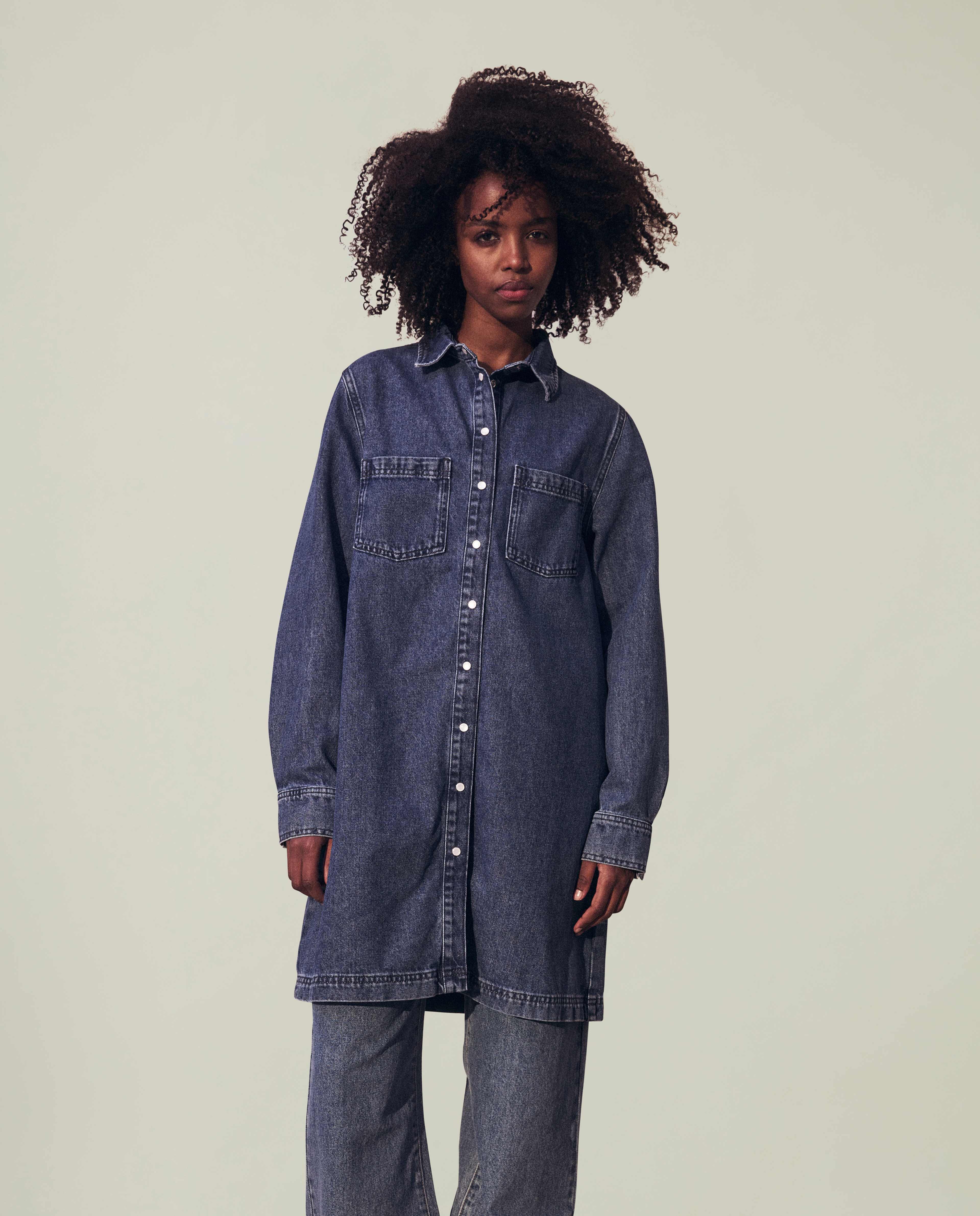 Isabel Denim Dress