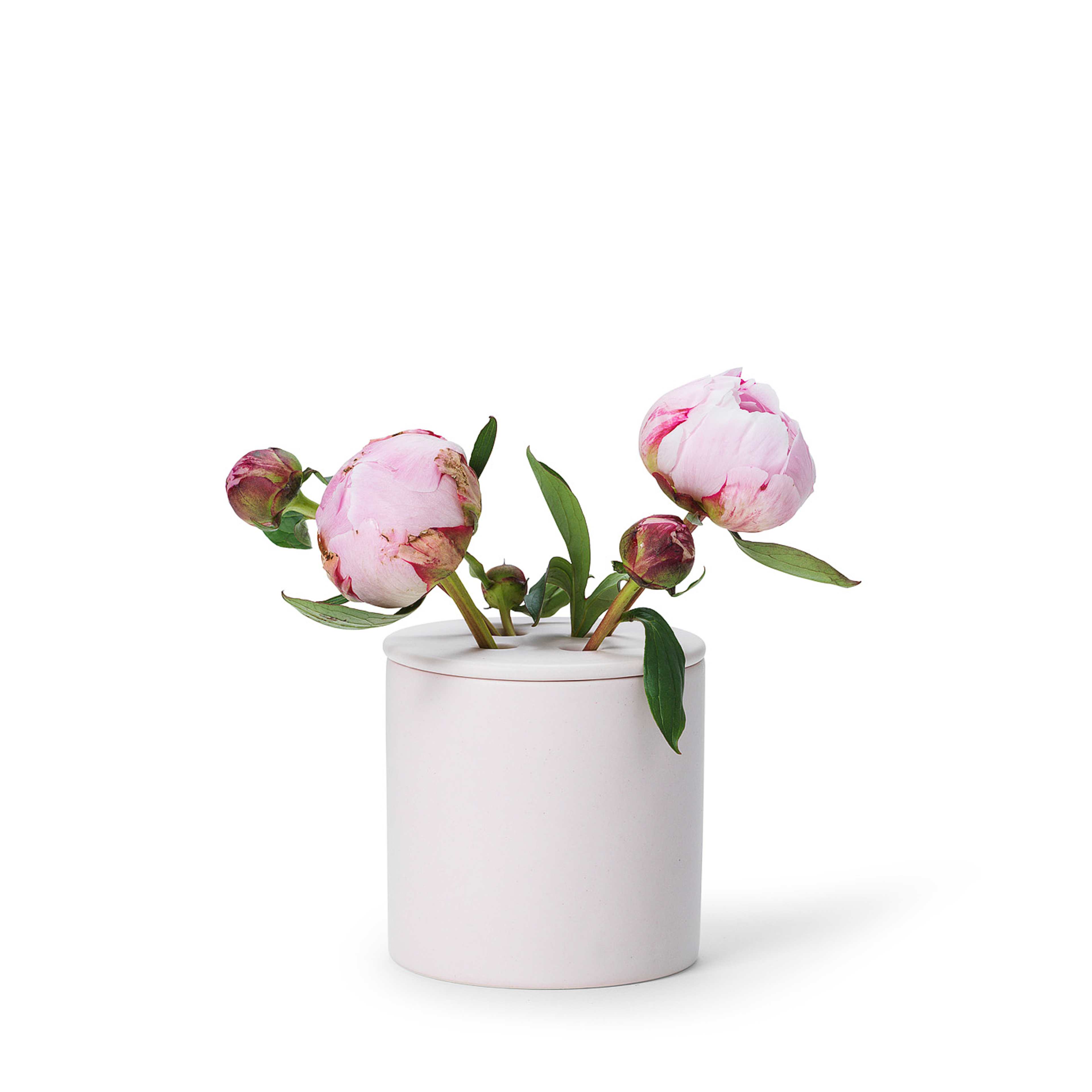 Anna Doftljus, från In Flore, i färgen Rosa. Klicka för att öppna bilden i stort format