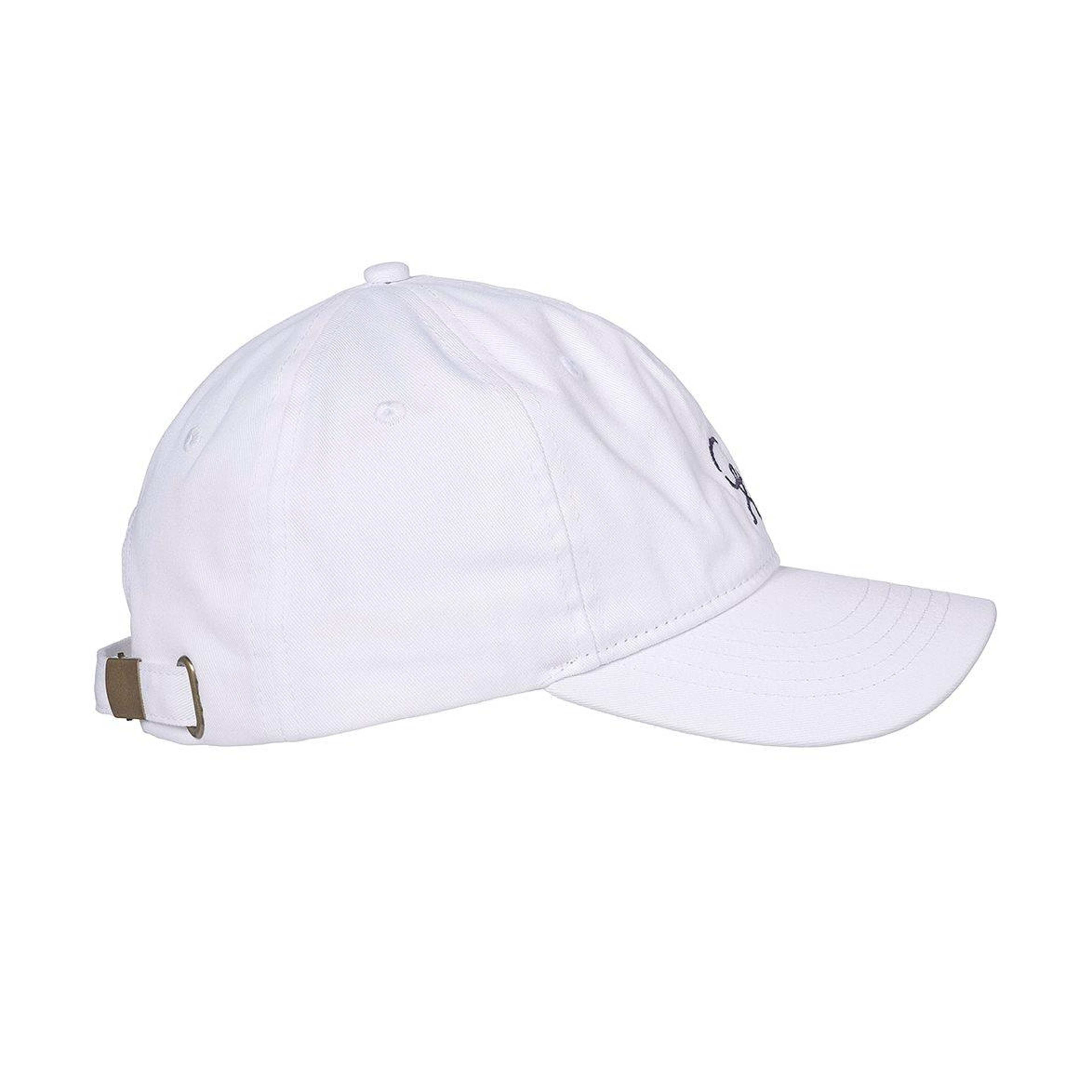 Isbjörn Playoff Baseball Cap