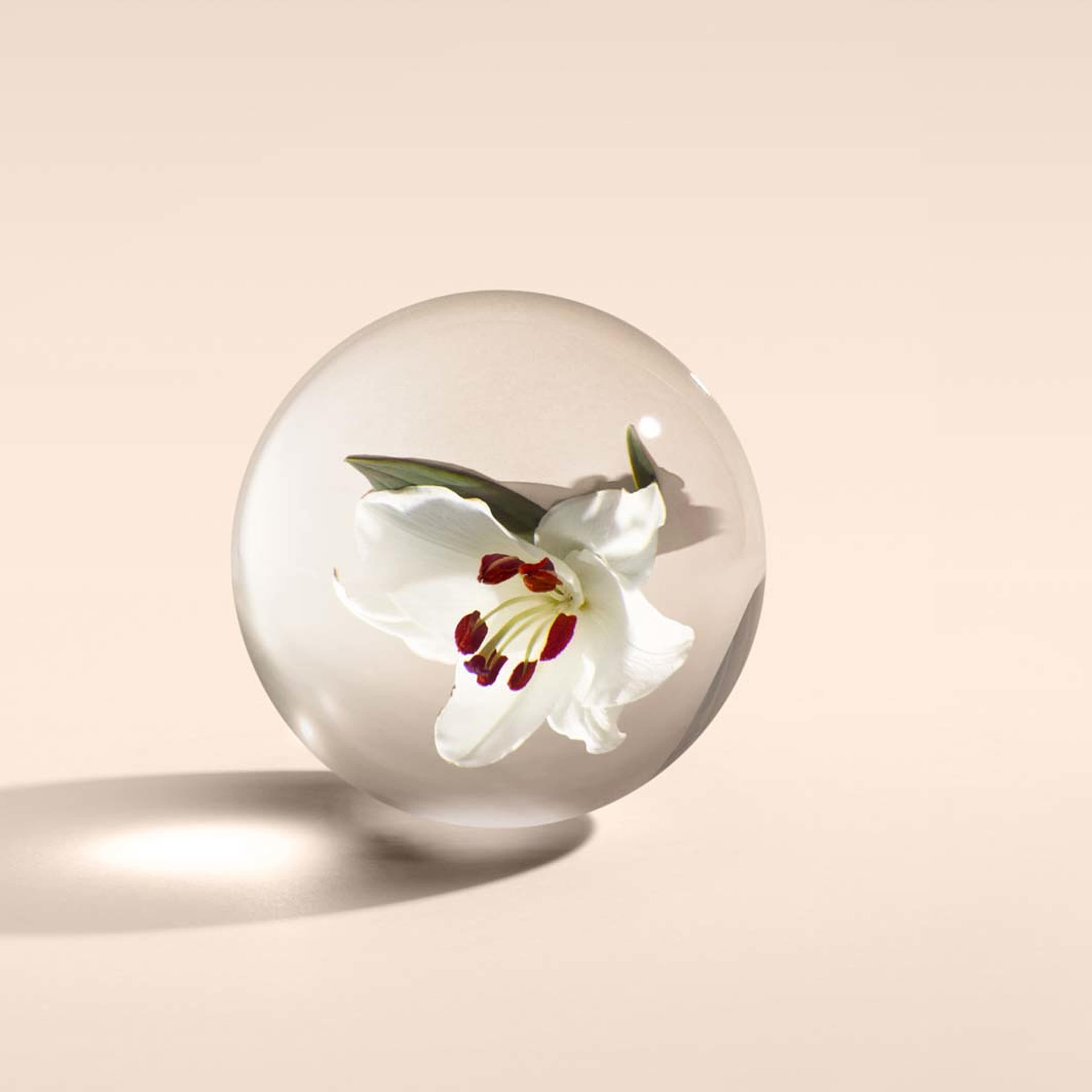 Heavenly Gingerlily Body Lotion, från Molton Brown, i färgen Brown. Klicka för att öppna bilden i stort format