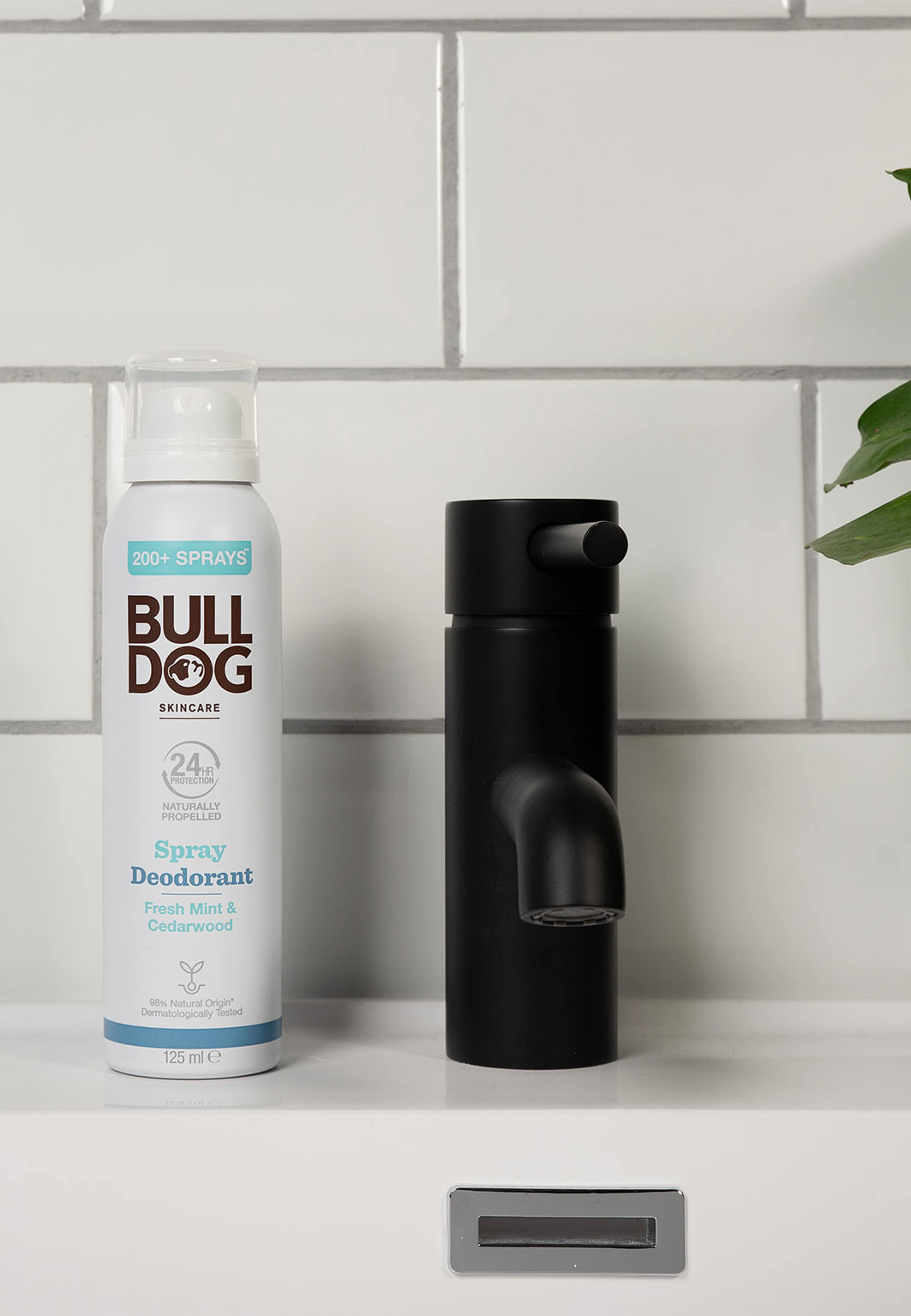 Fresh Mint & Cedarwood Spray Deodorant