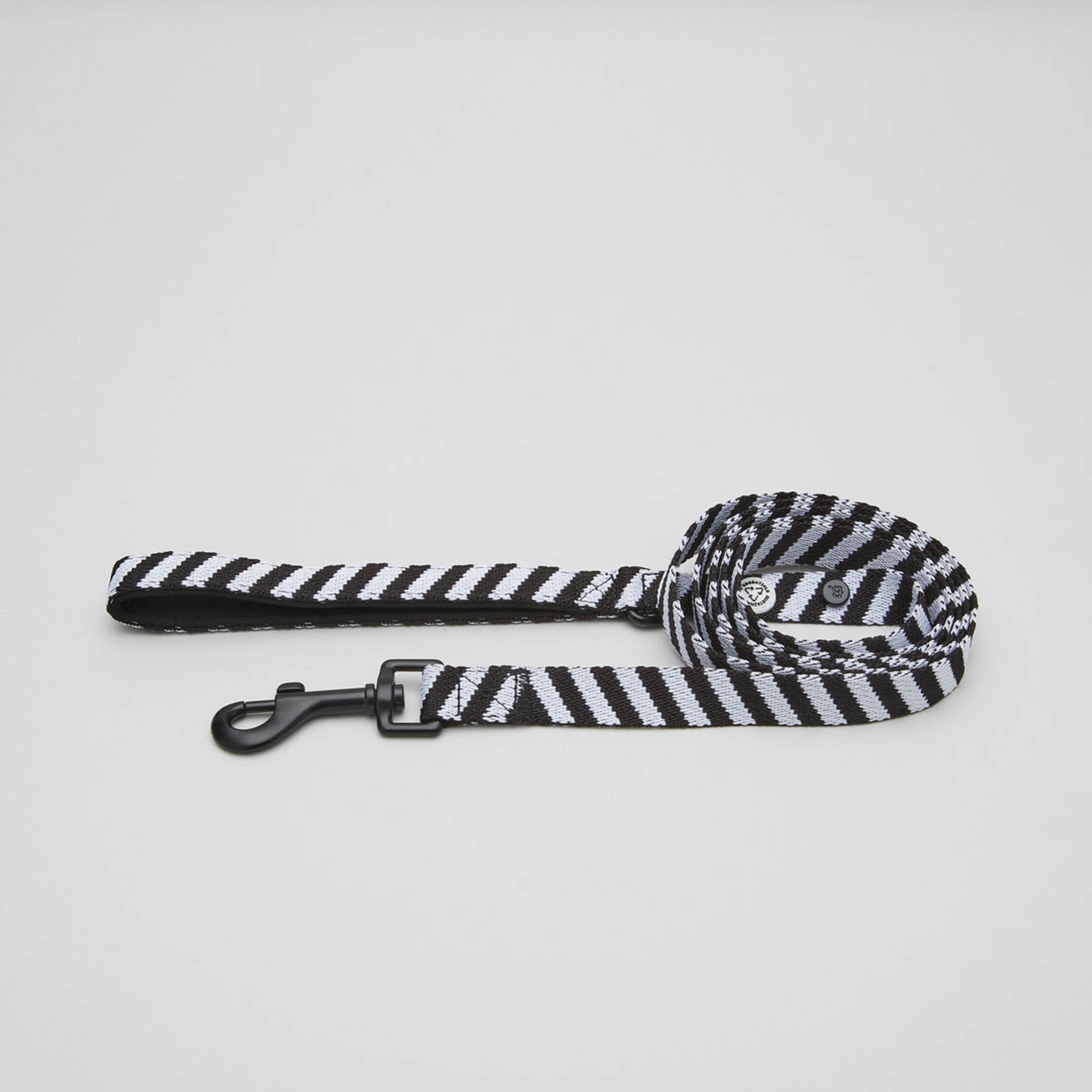 Zebra Dog Collar Walk Kit - L