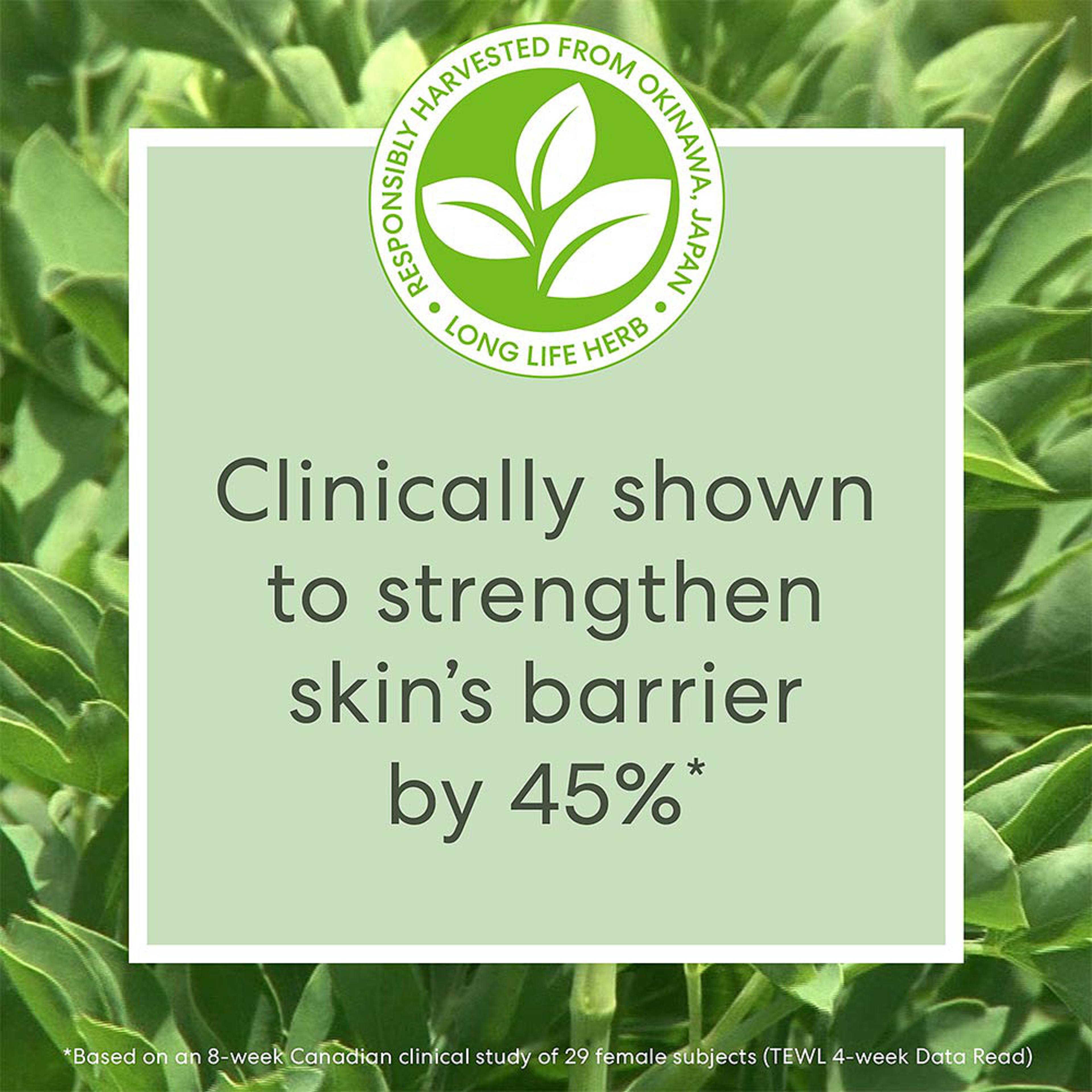Skinlongevity Long Life Herb Serum Face serum, från bareMinerals. Klicka för att öppna bilden i stort format