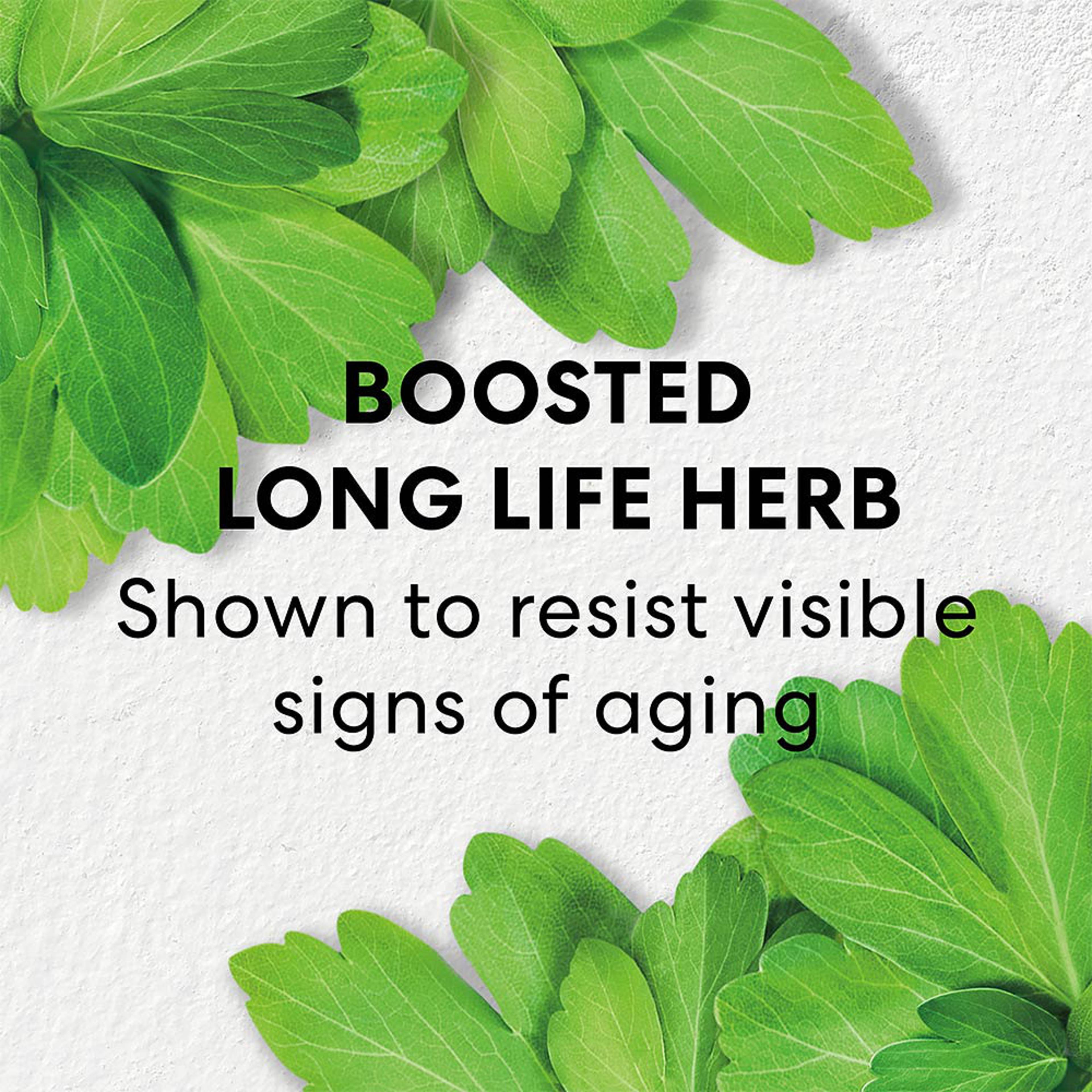 Skinlongevity Long Life Herb Serum Face serum, från bareMinerals. Klicka för att öppna bilden i stort format