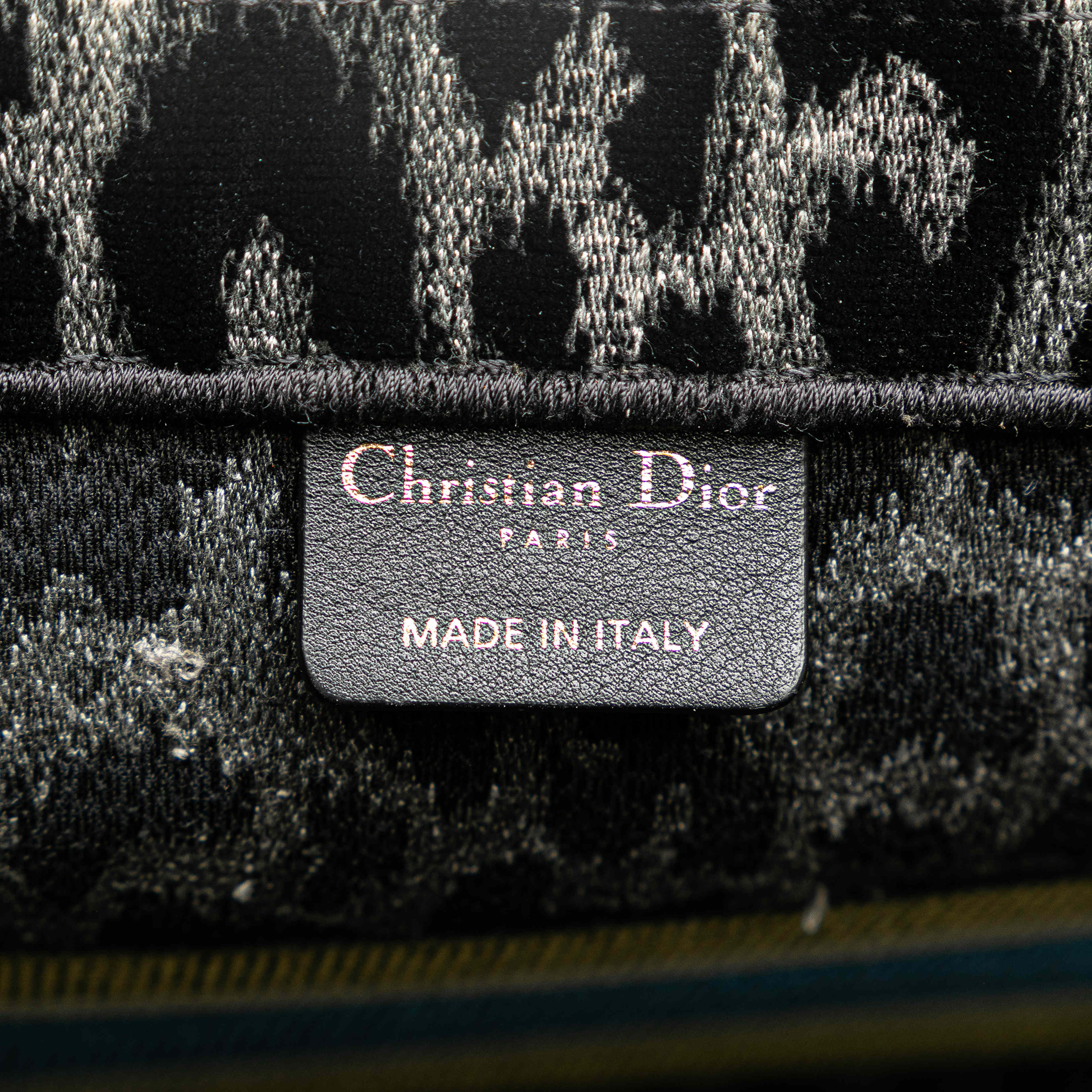 Dior Medium Embroidered Canvas Leopard Mizza Book Tote