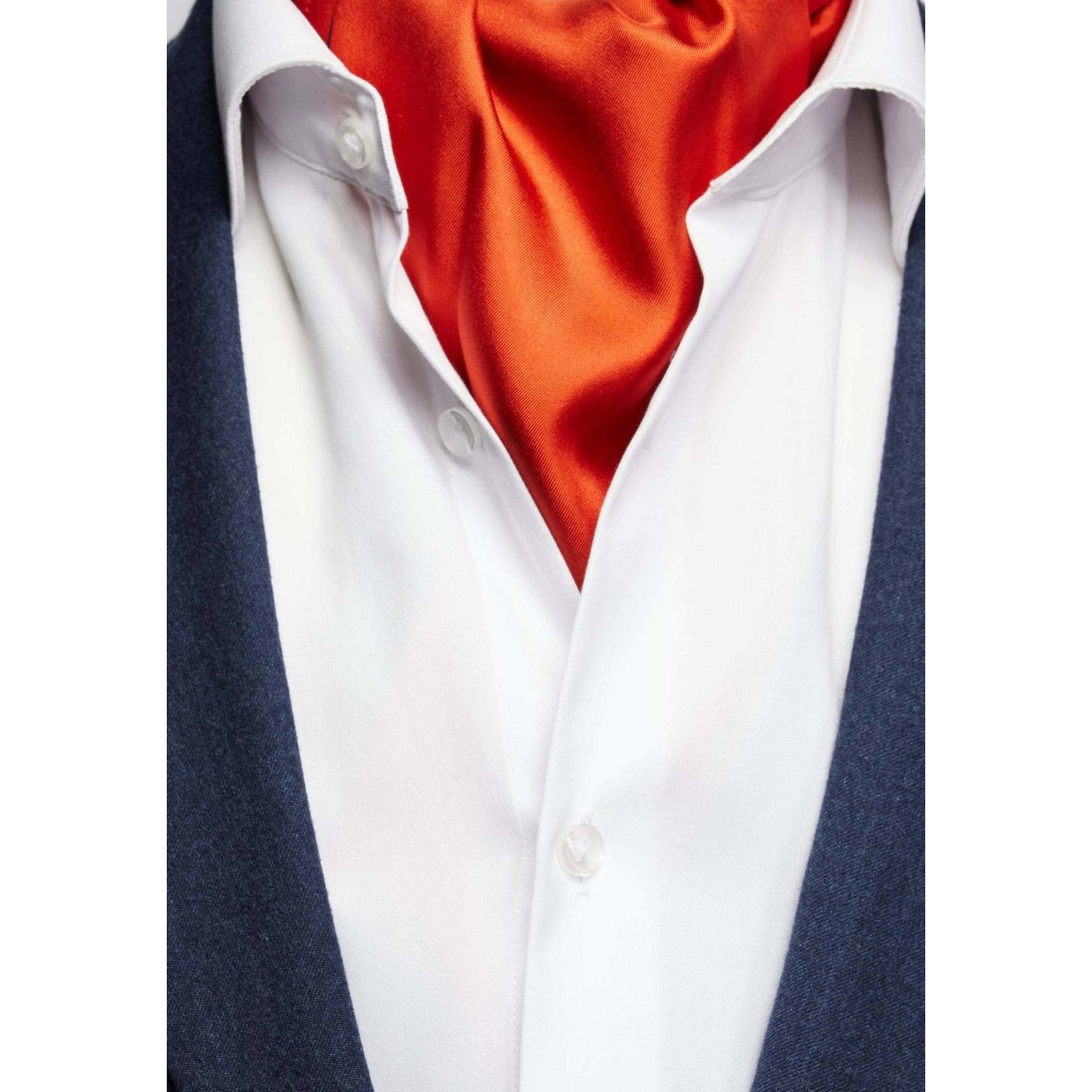 Silk Single Pointed Ascot Plain