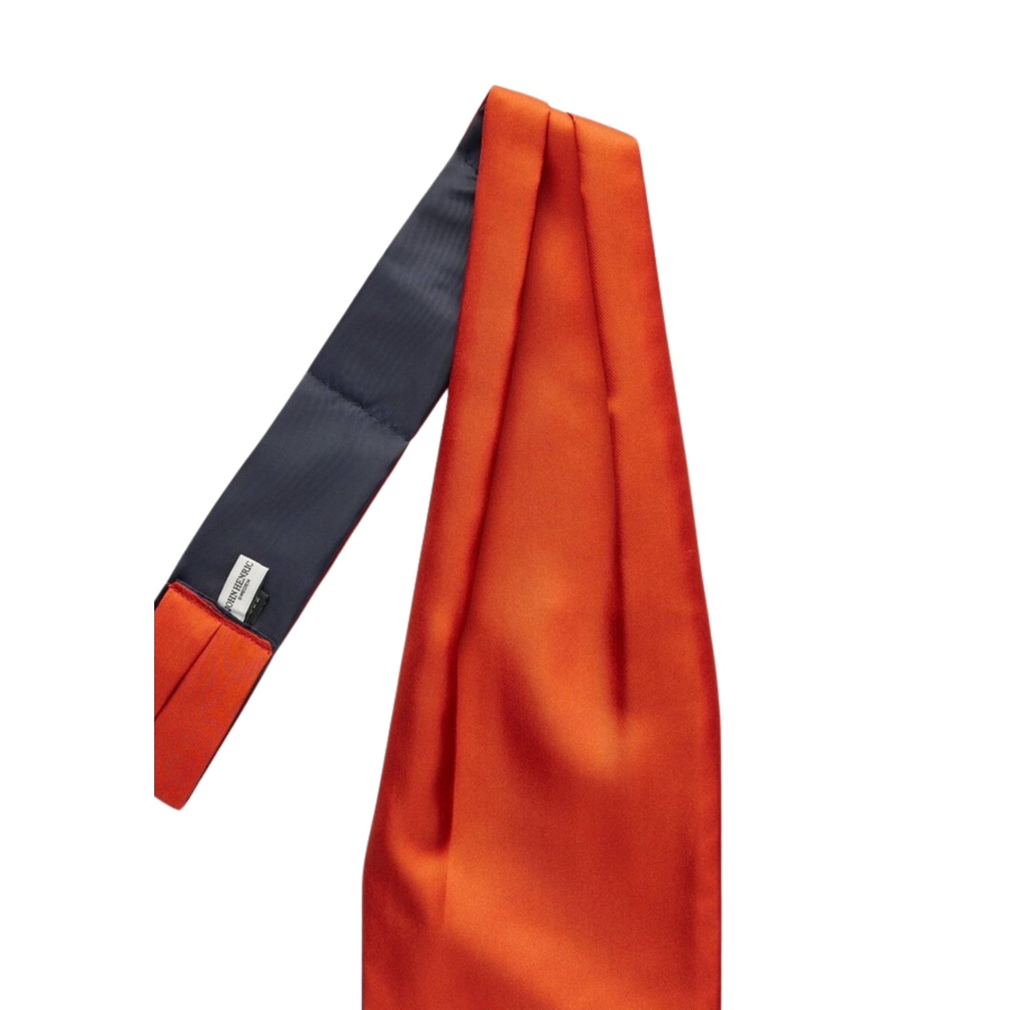 Silk Single Pointed Ascot Plain