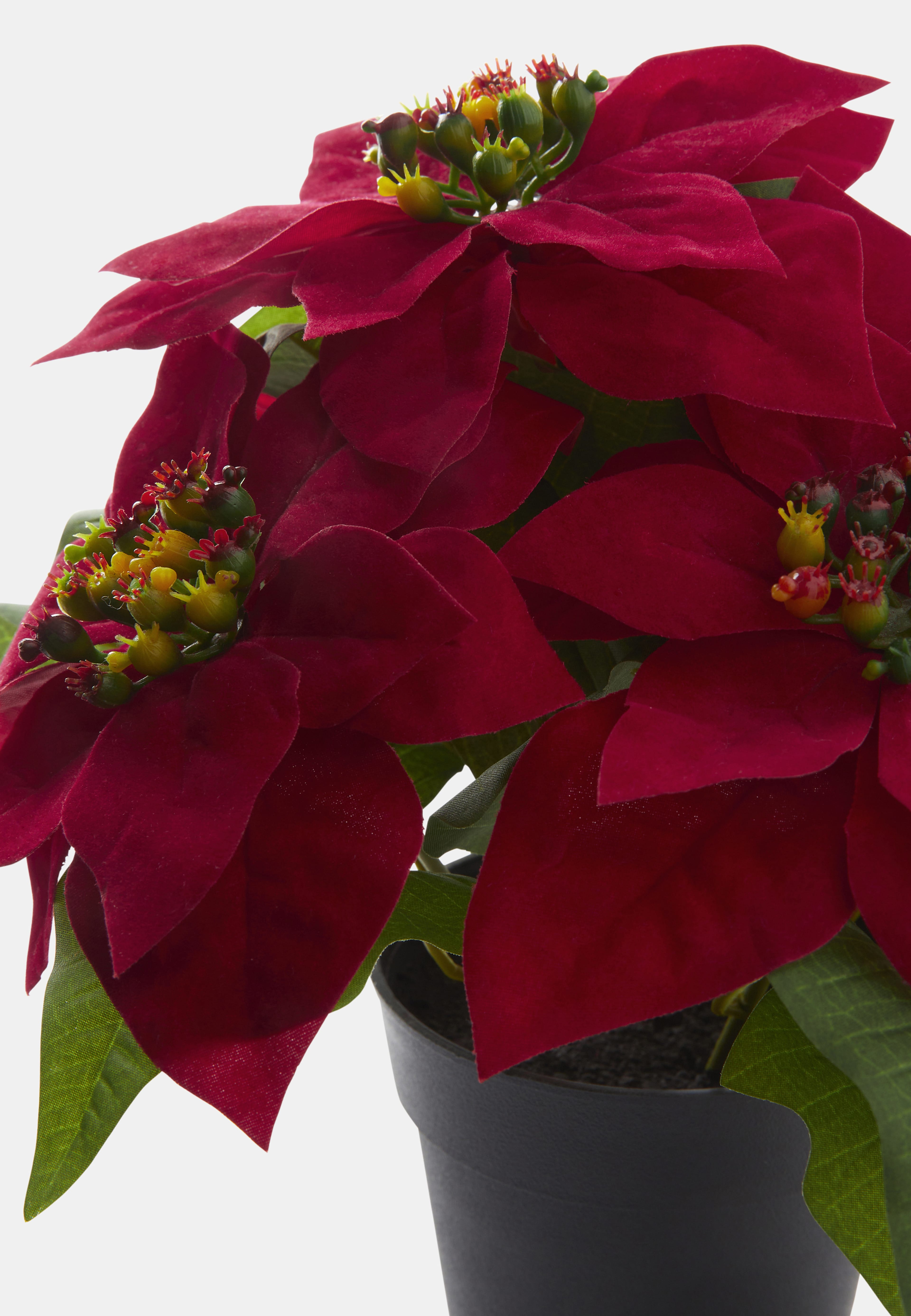 Konstväxt julstjärna i kruka, från Åhléns Home, i färgen Red. Klicka för att öppna bilden i stort format